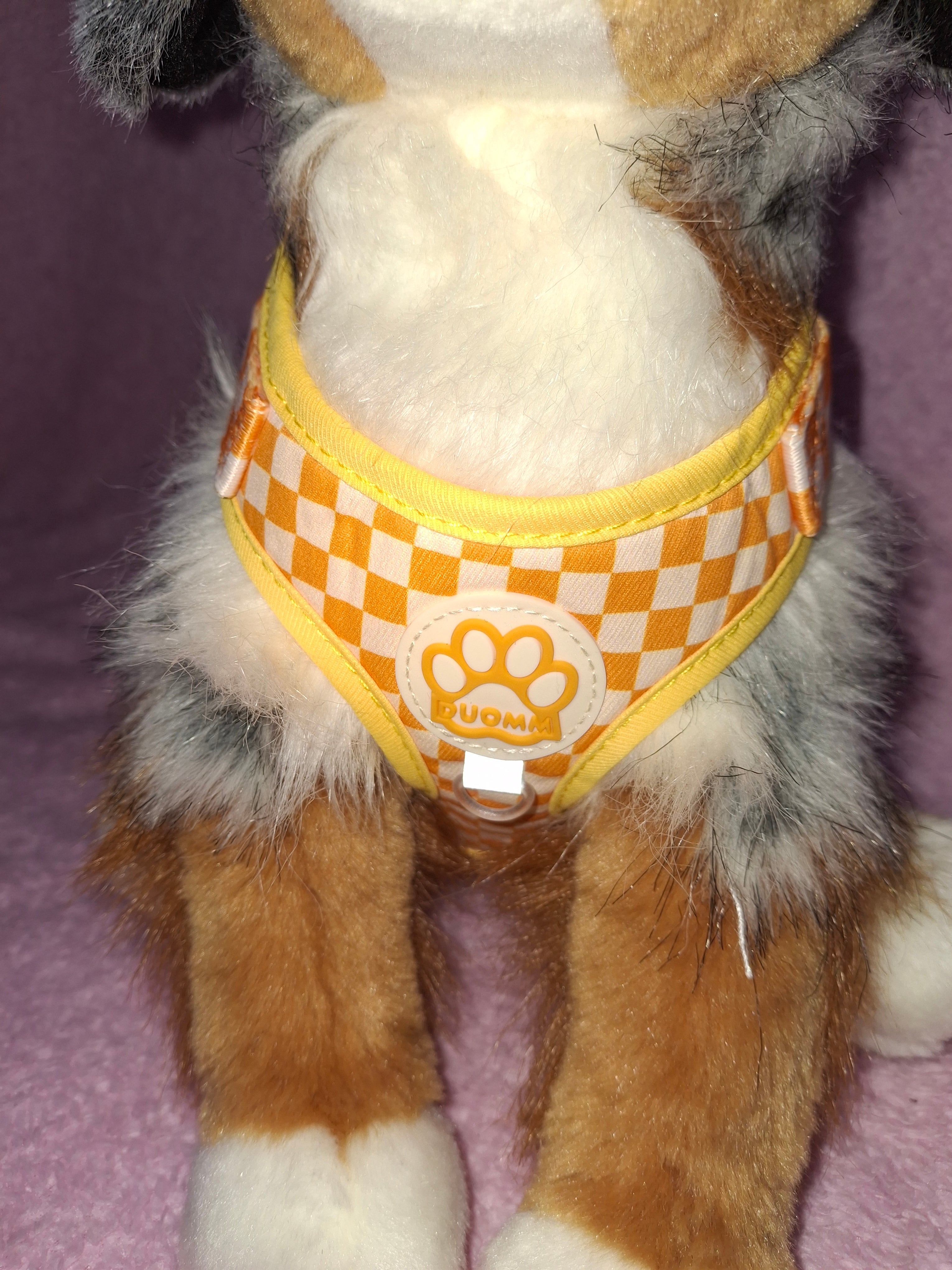 Chequered Harness