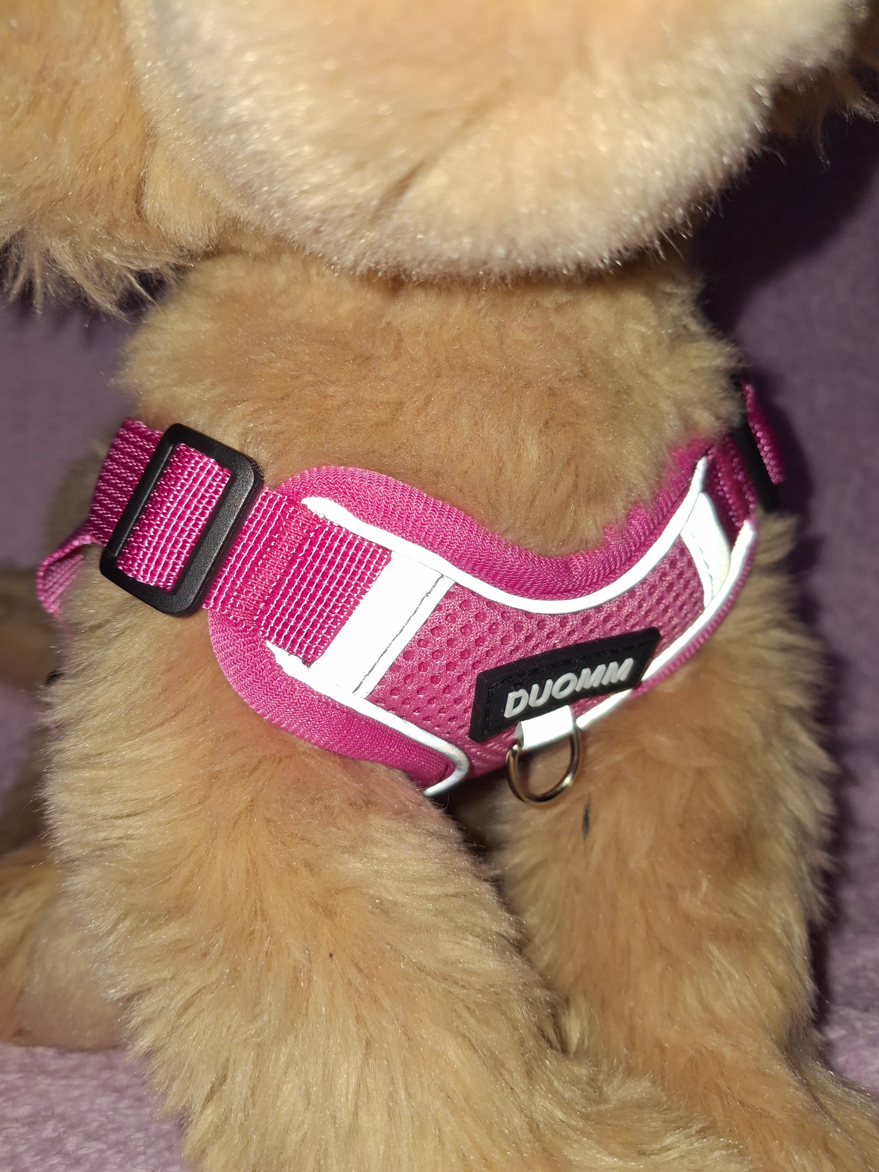 Reflective Harness