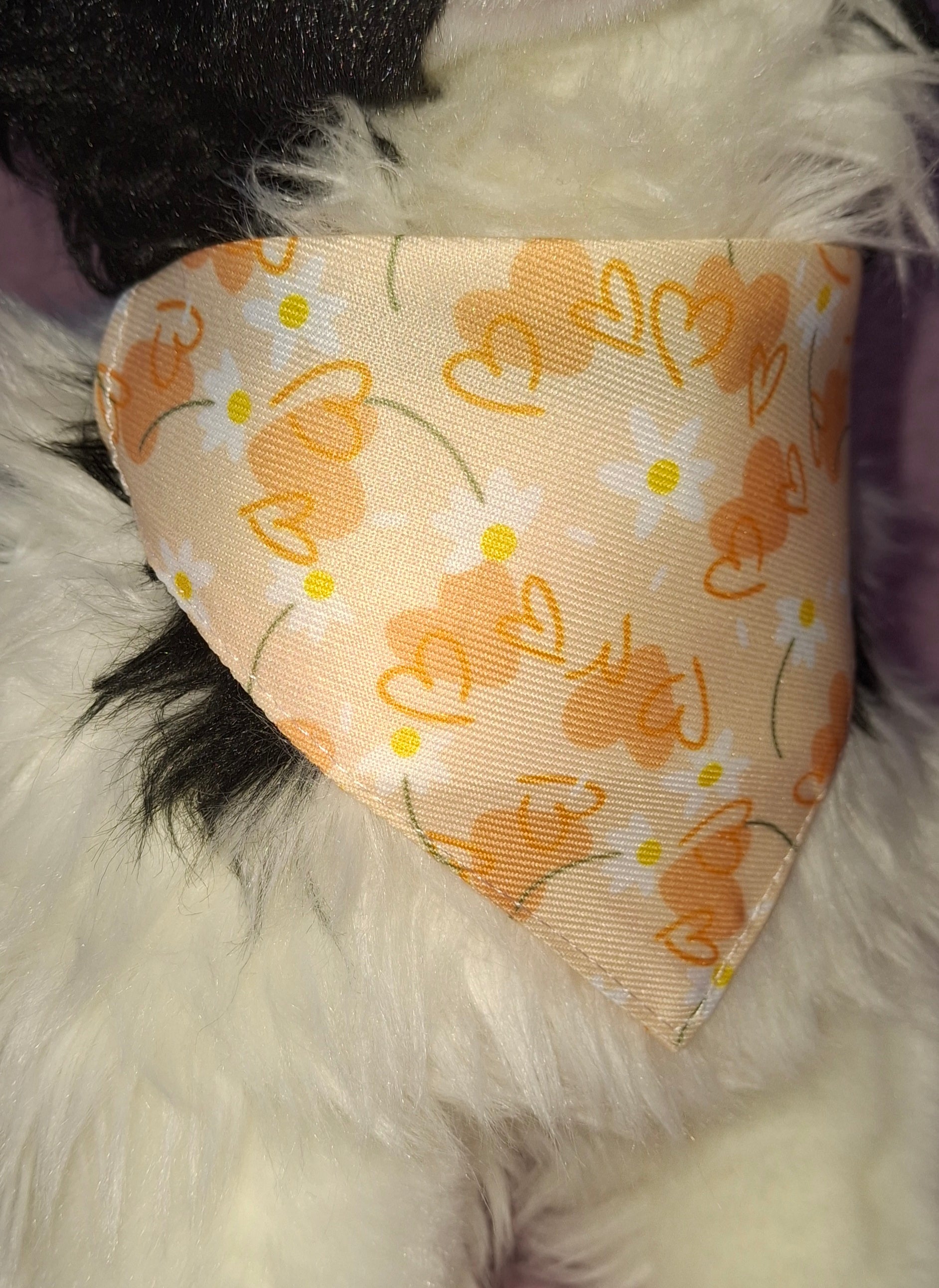 Patterned Bandana Collar