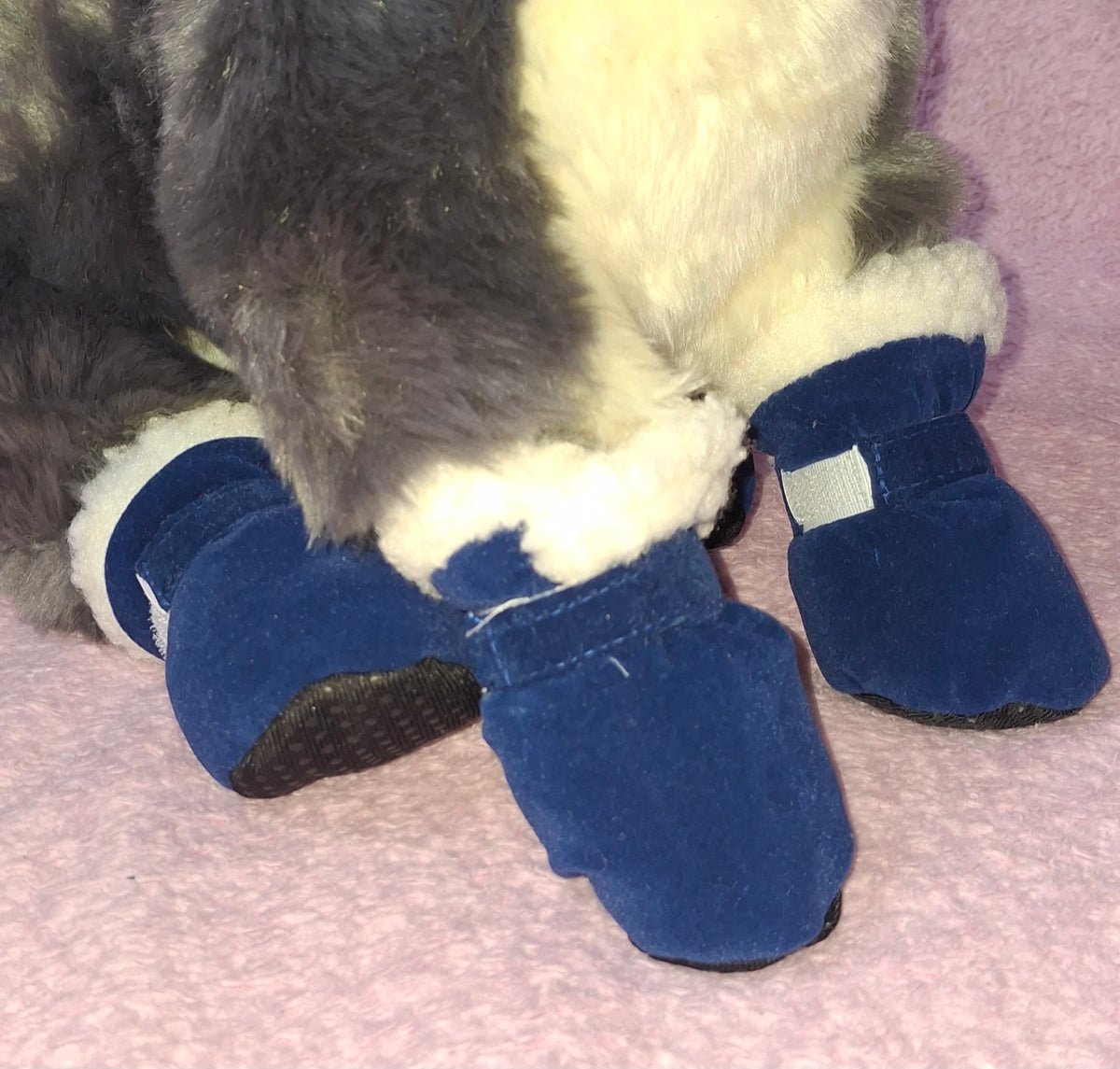Winter Boots