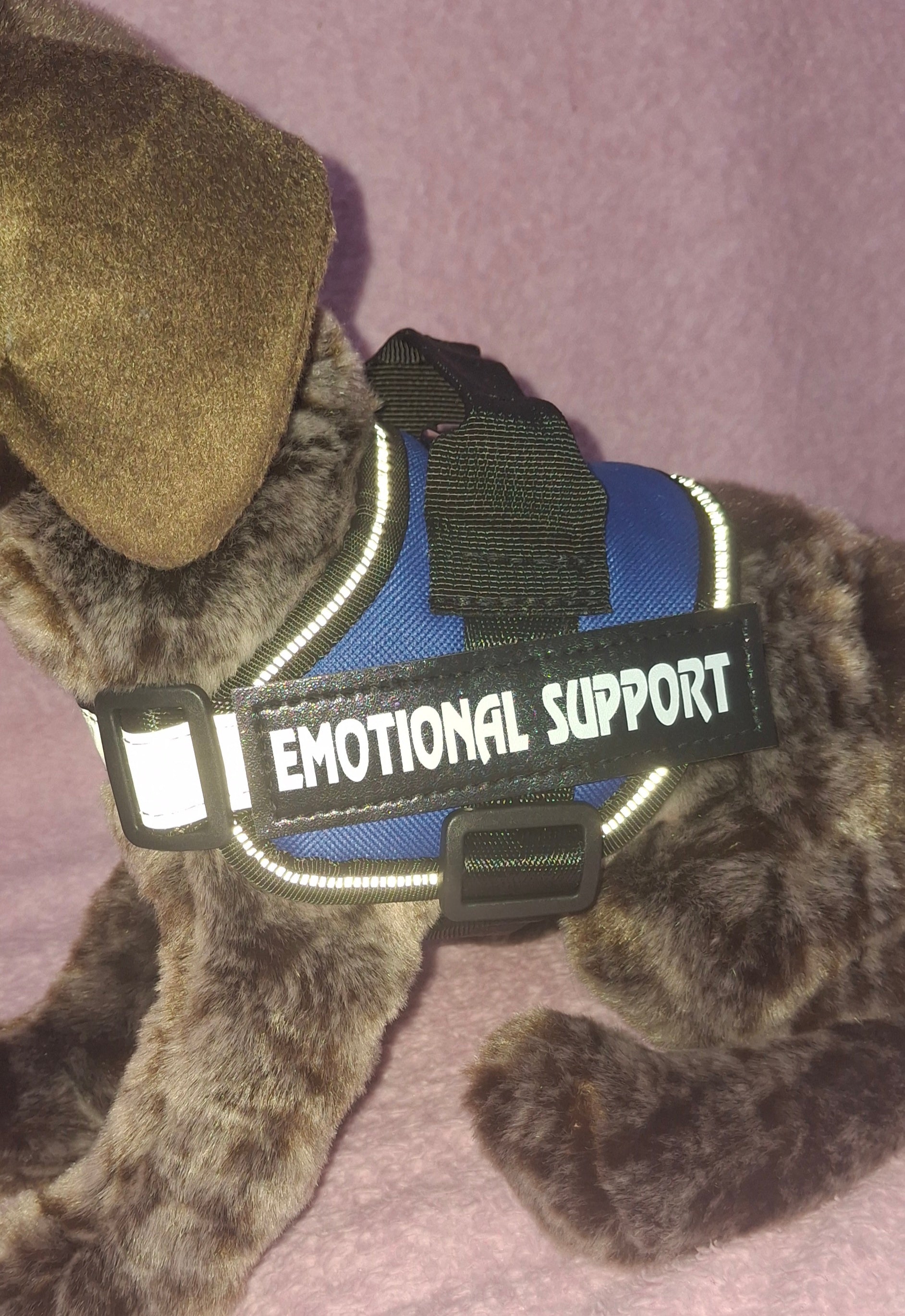 Emotional Support Vest