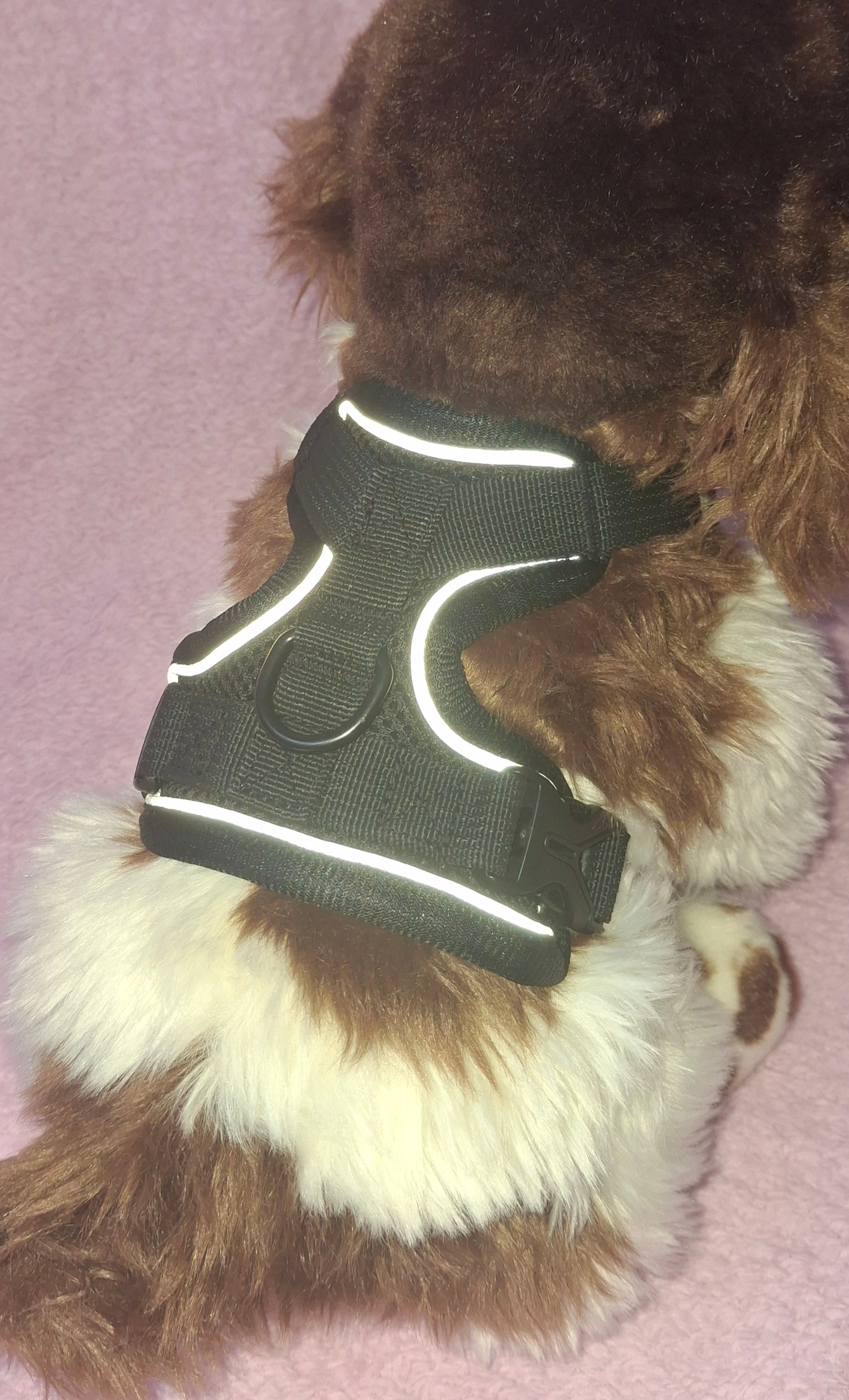 Slip On Harness