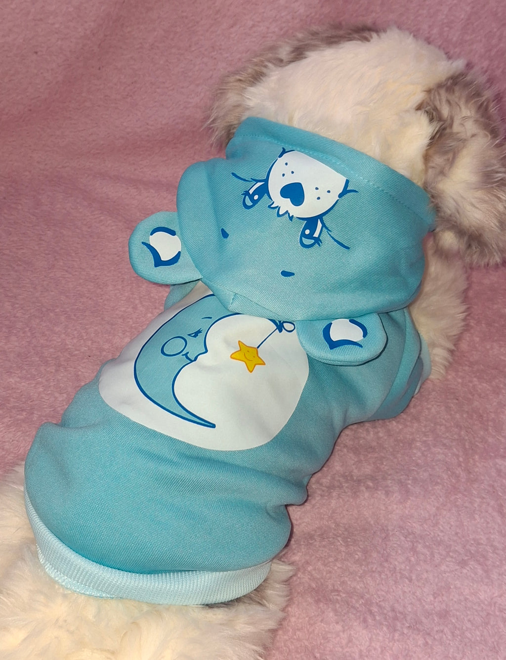 Care Bear Hoodies Variant 2