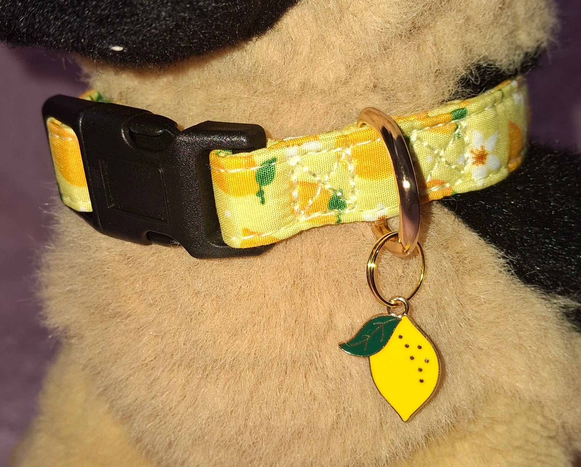 Fruit Dog Collars