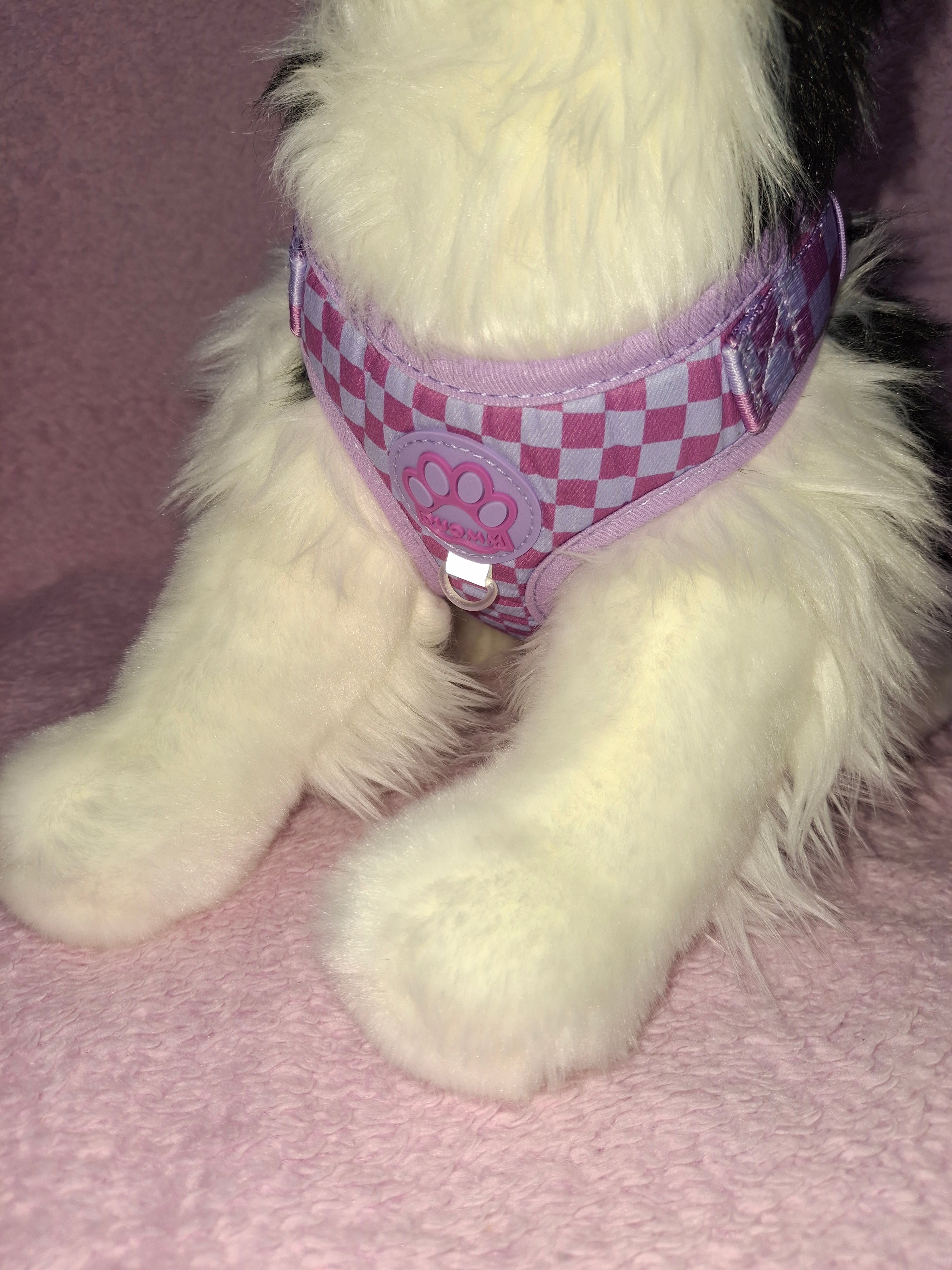 Chequered Harness