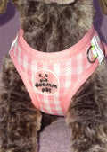 Velcro Chequered Harness