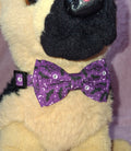 Halloween Bowties