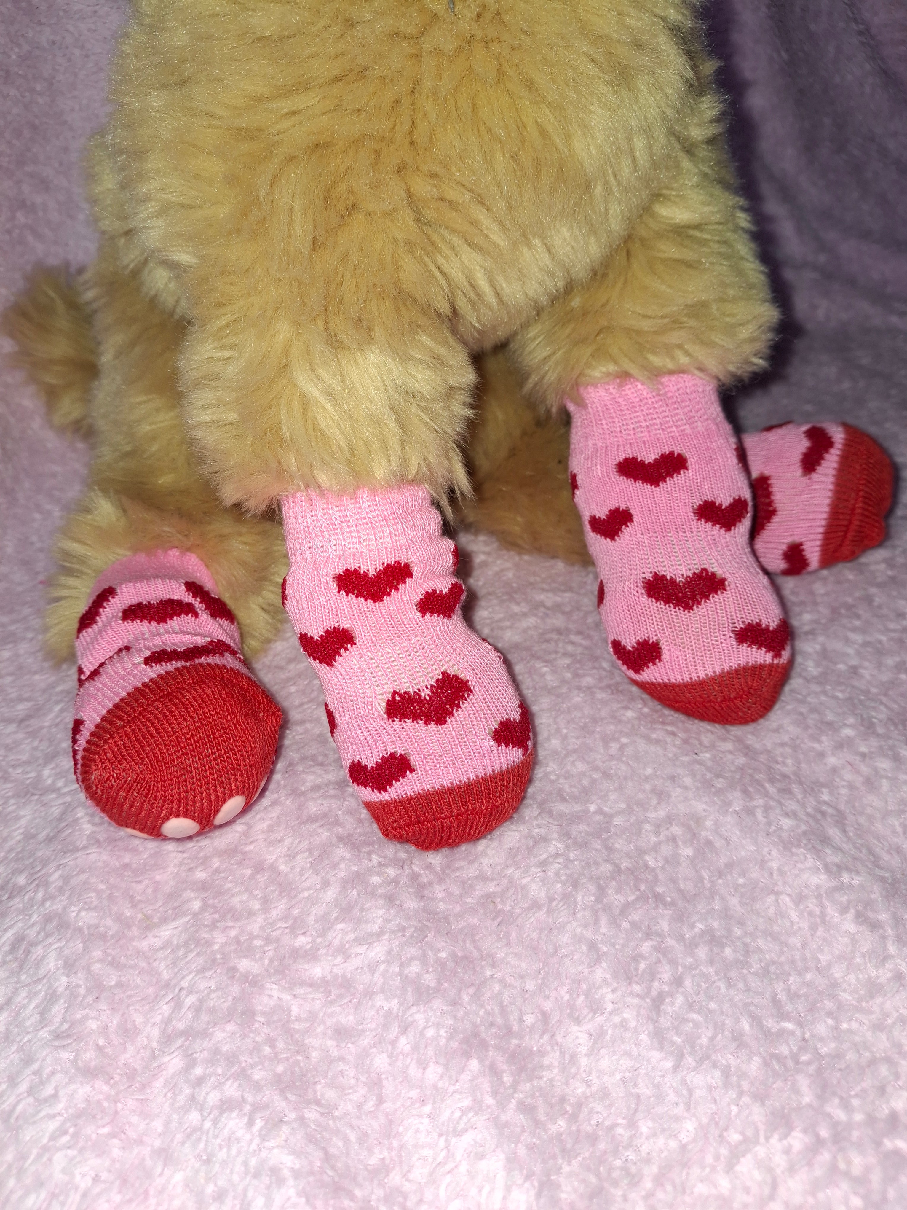 Socks