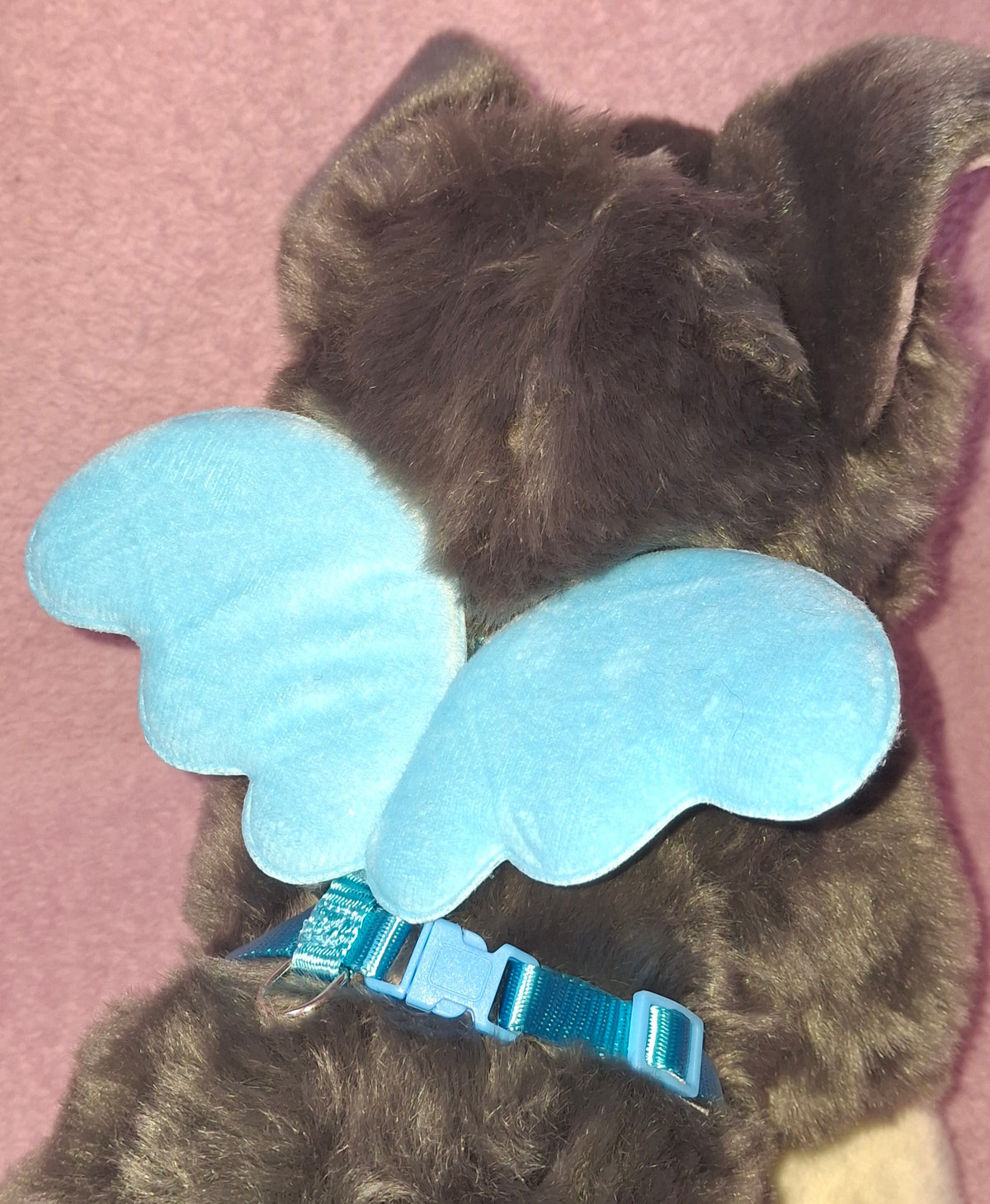 Wings