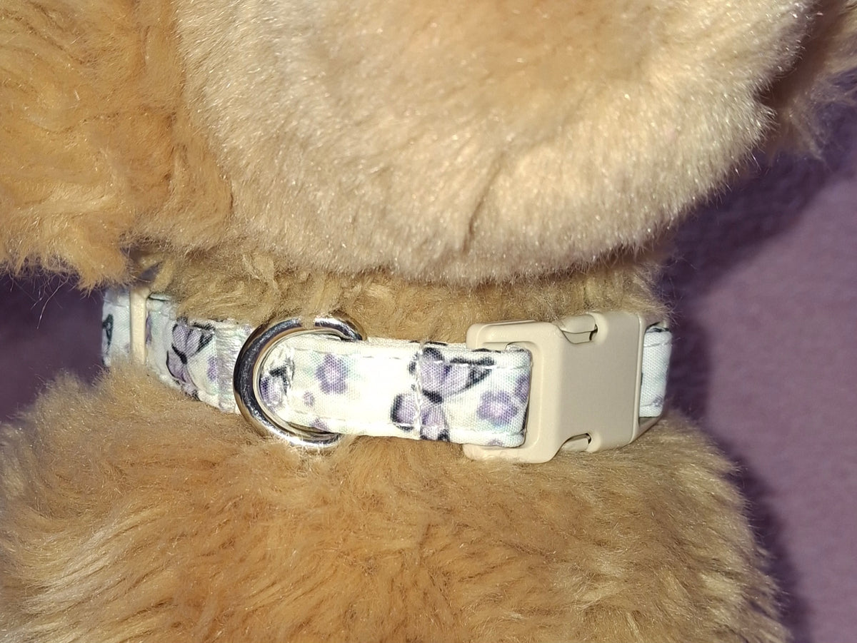 Dog Collar Variants