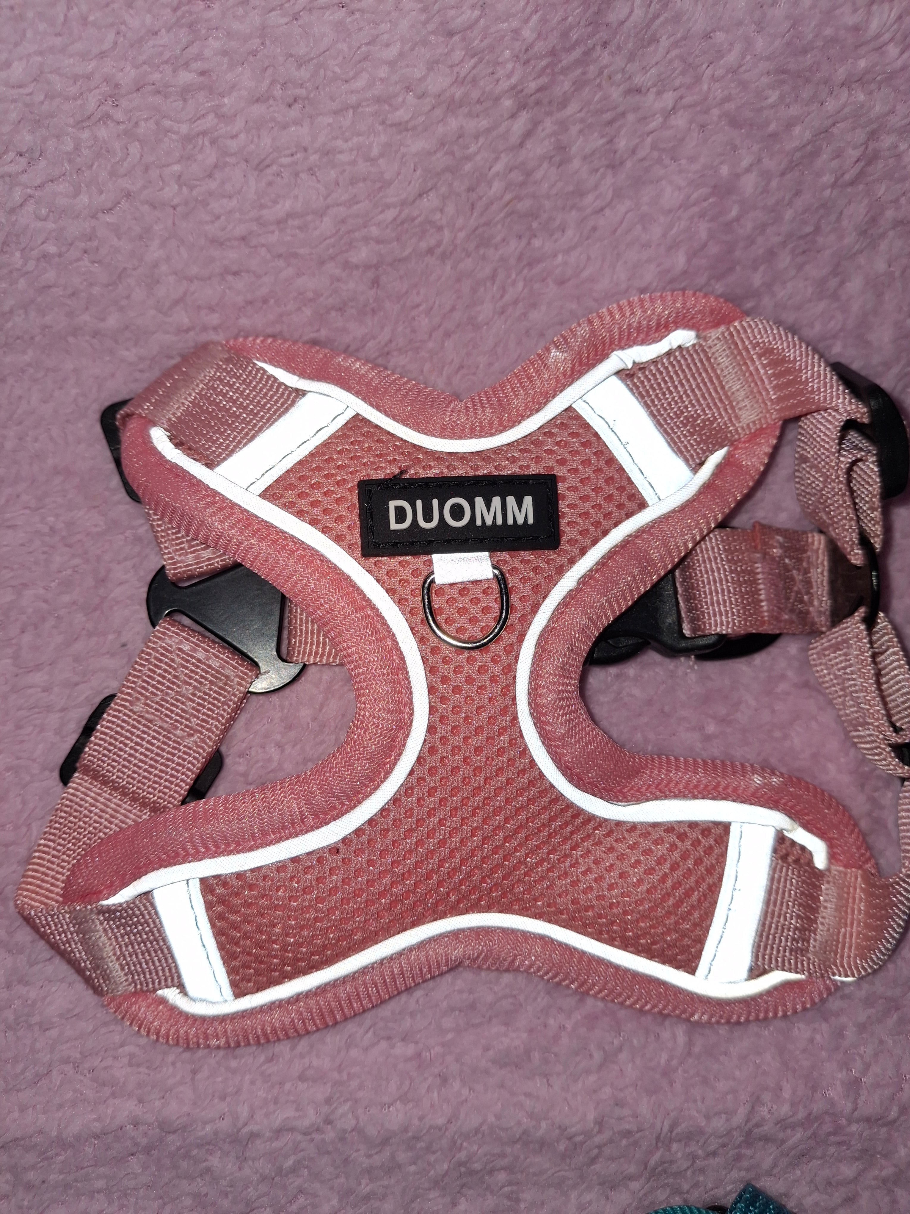 Reflective Harness