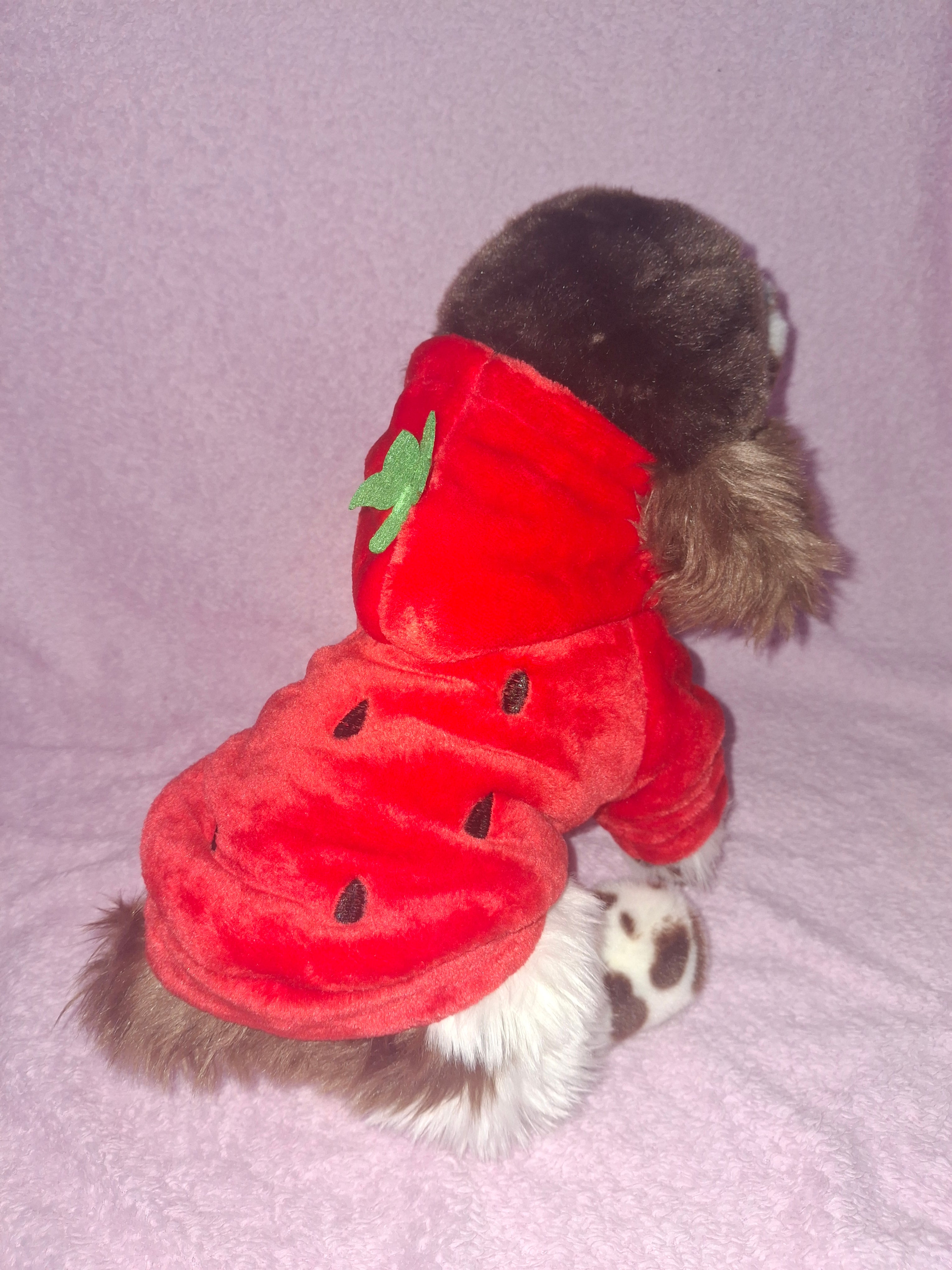 Strawberry Costume