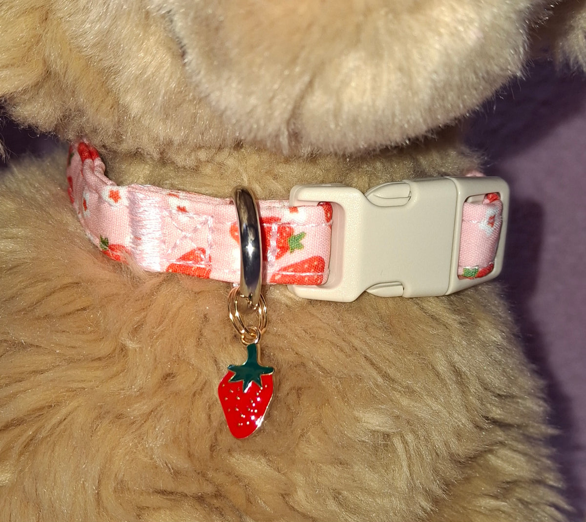 Fruit Dog Collars