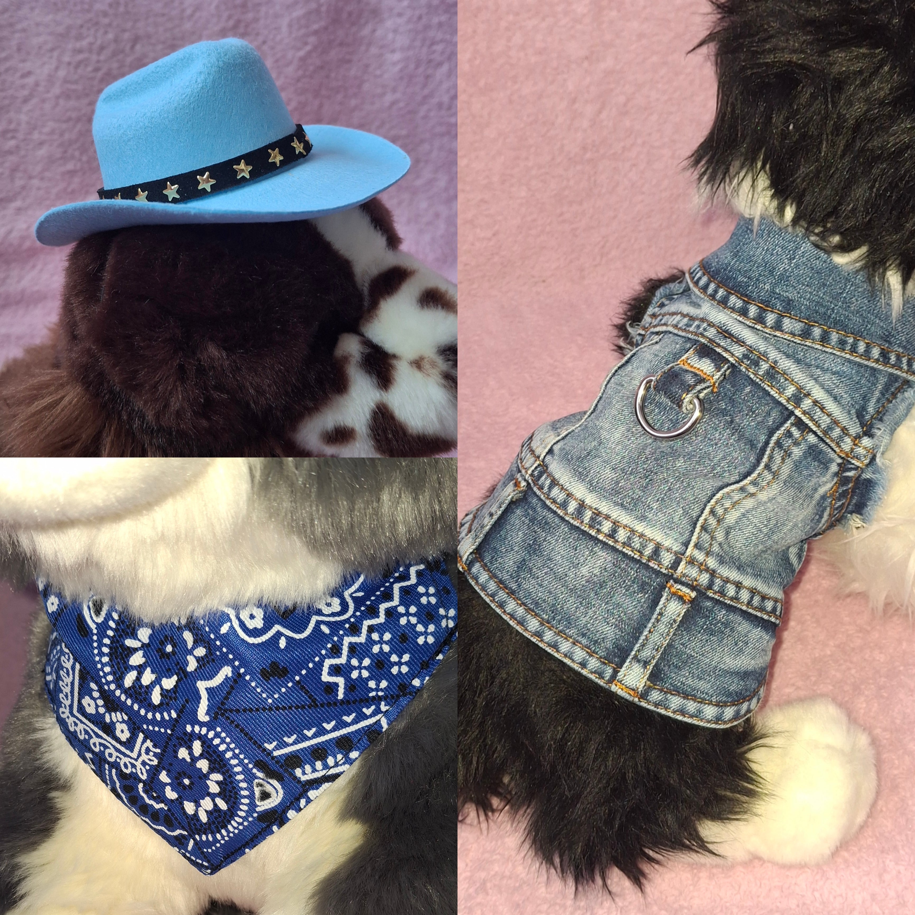 Blue Cowboy Bundle