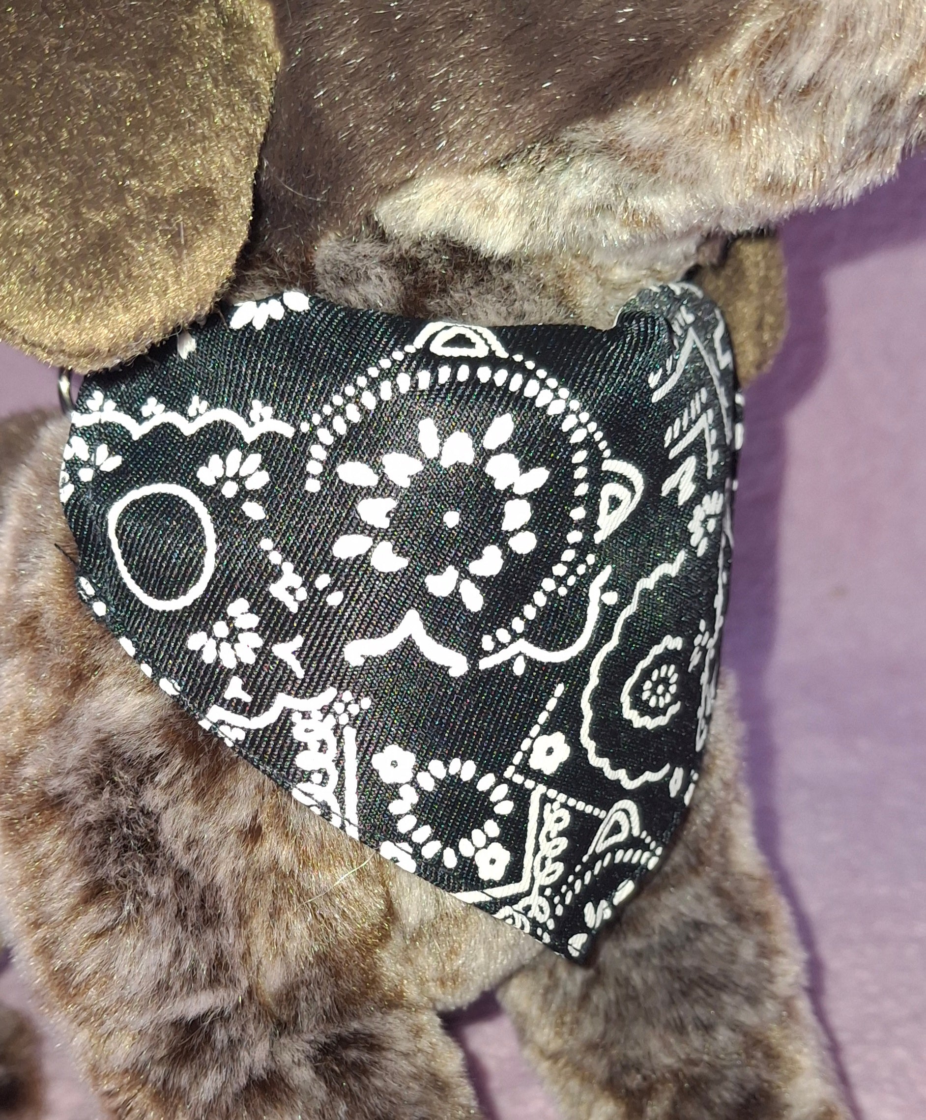 Bandana Collar