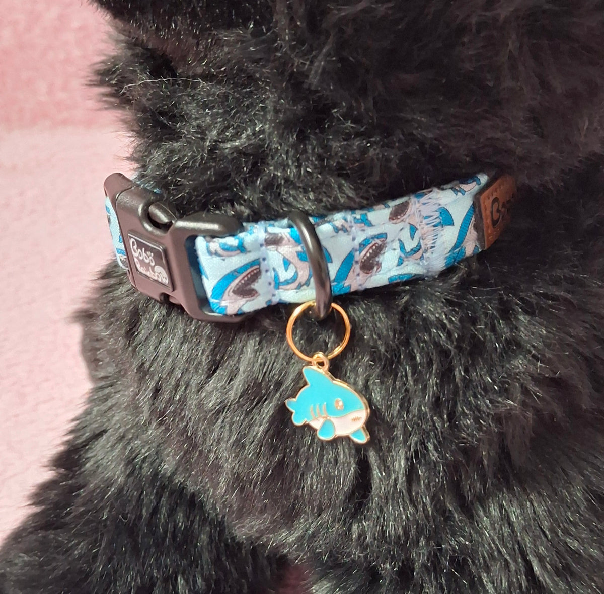 Dog Collar Variants