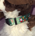 Christmas Collars
