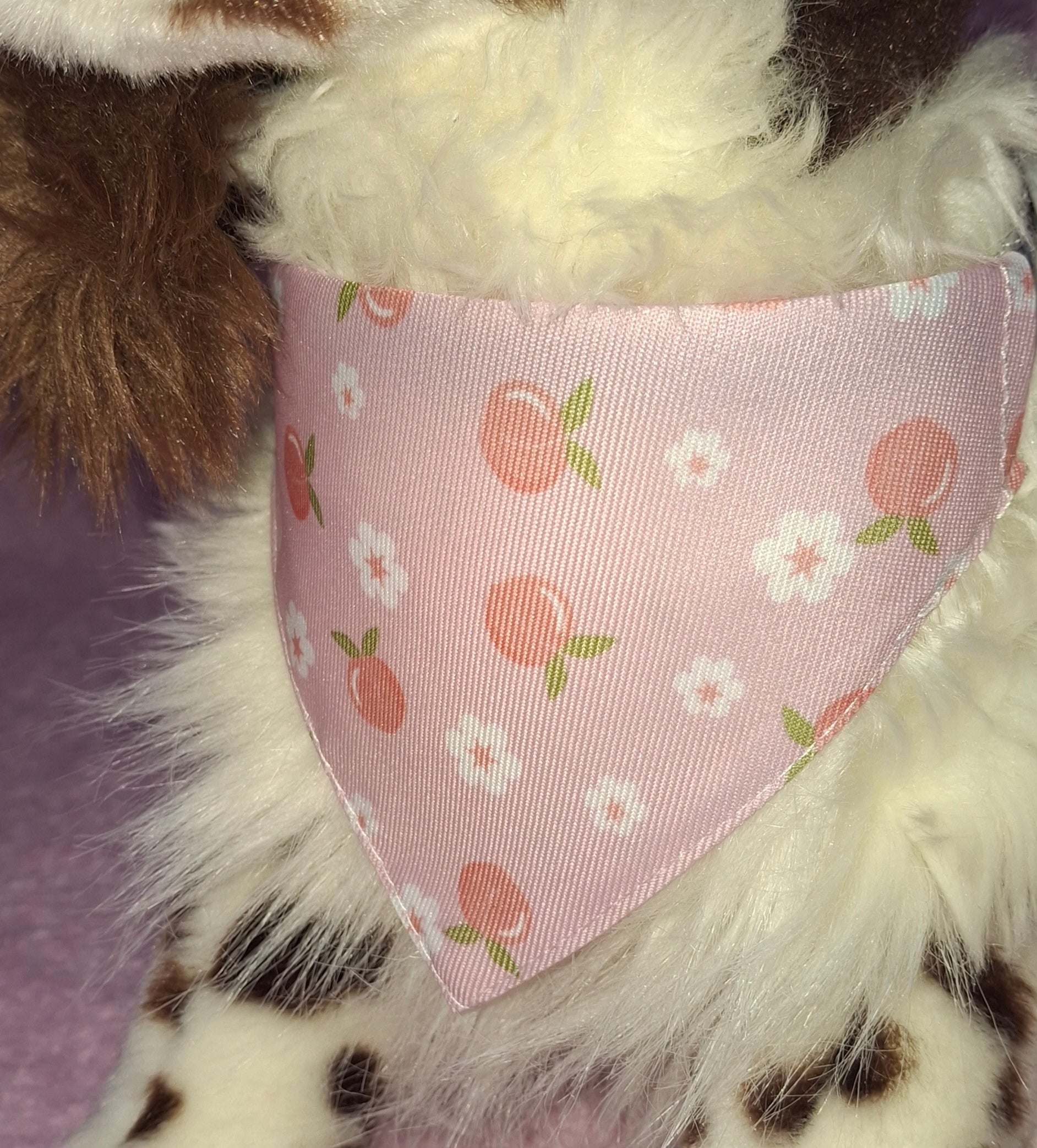 Patterned Bandana Collar