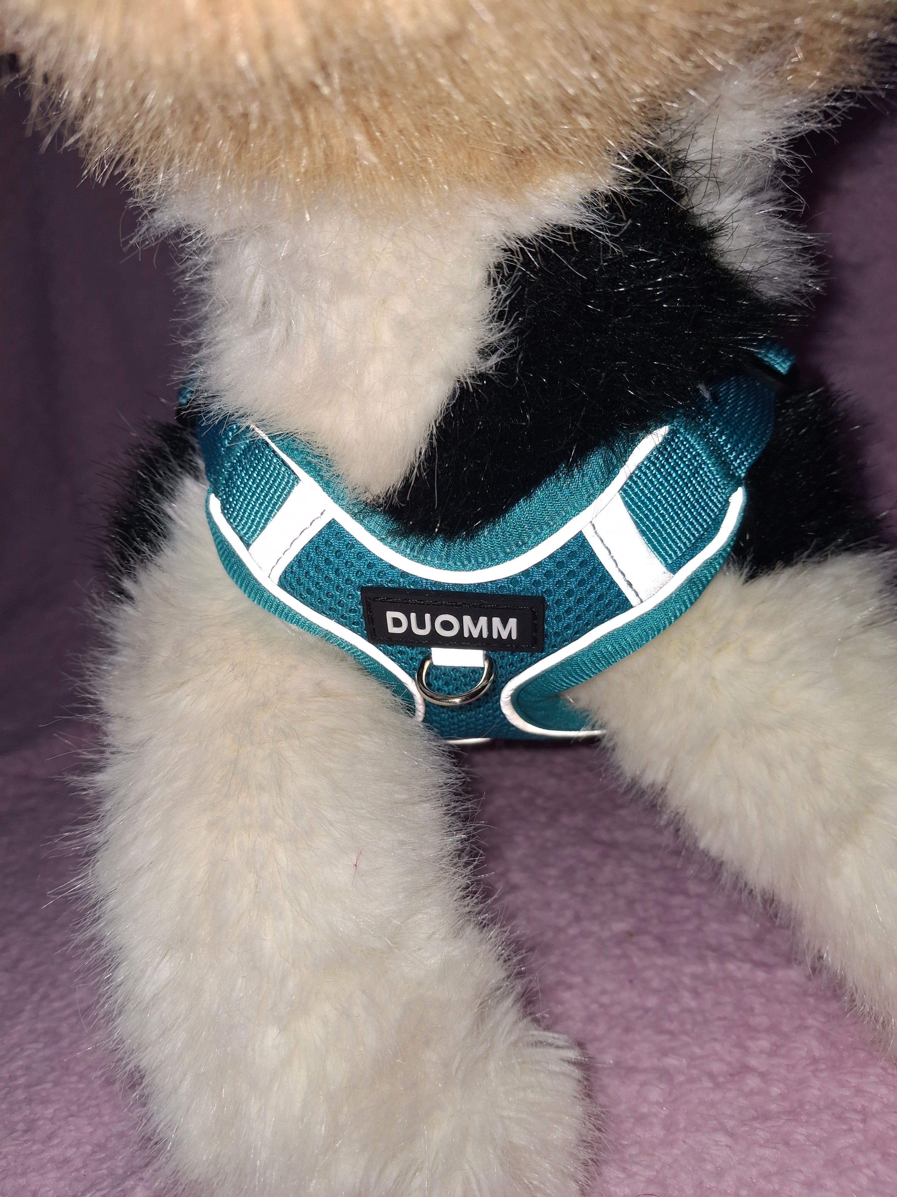 Reflective Harness