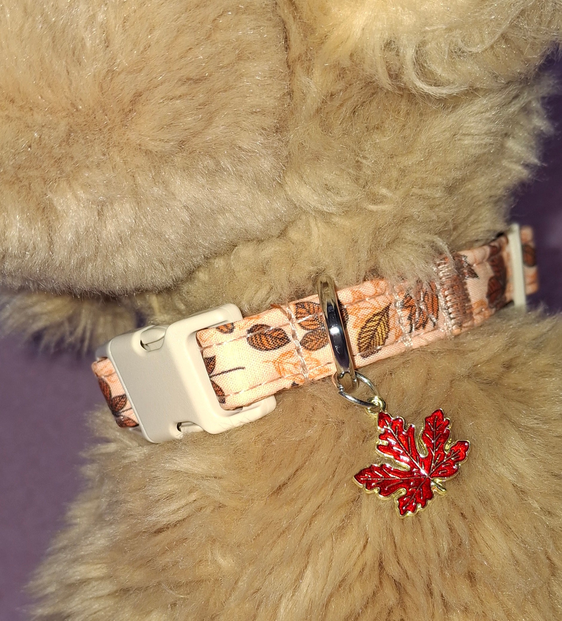 Dog Collar Variants
