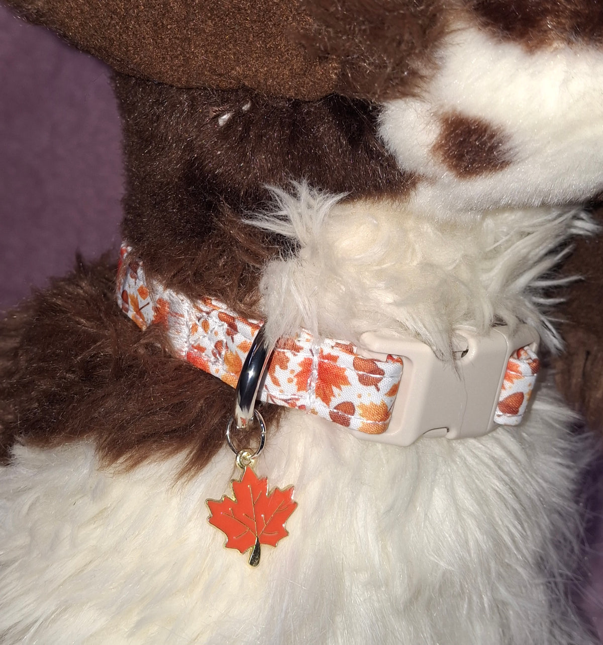 Dog Collar Variants