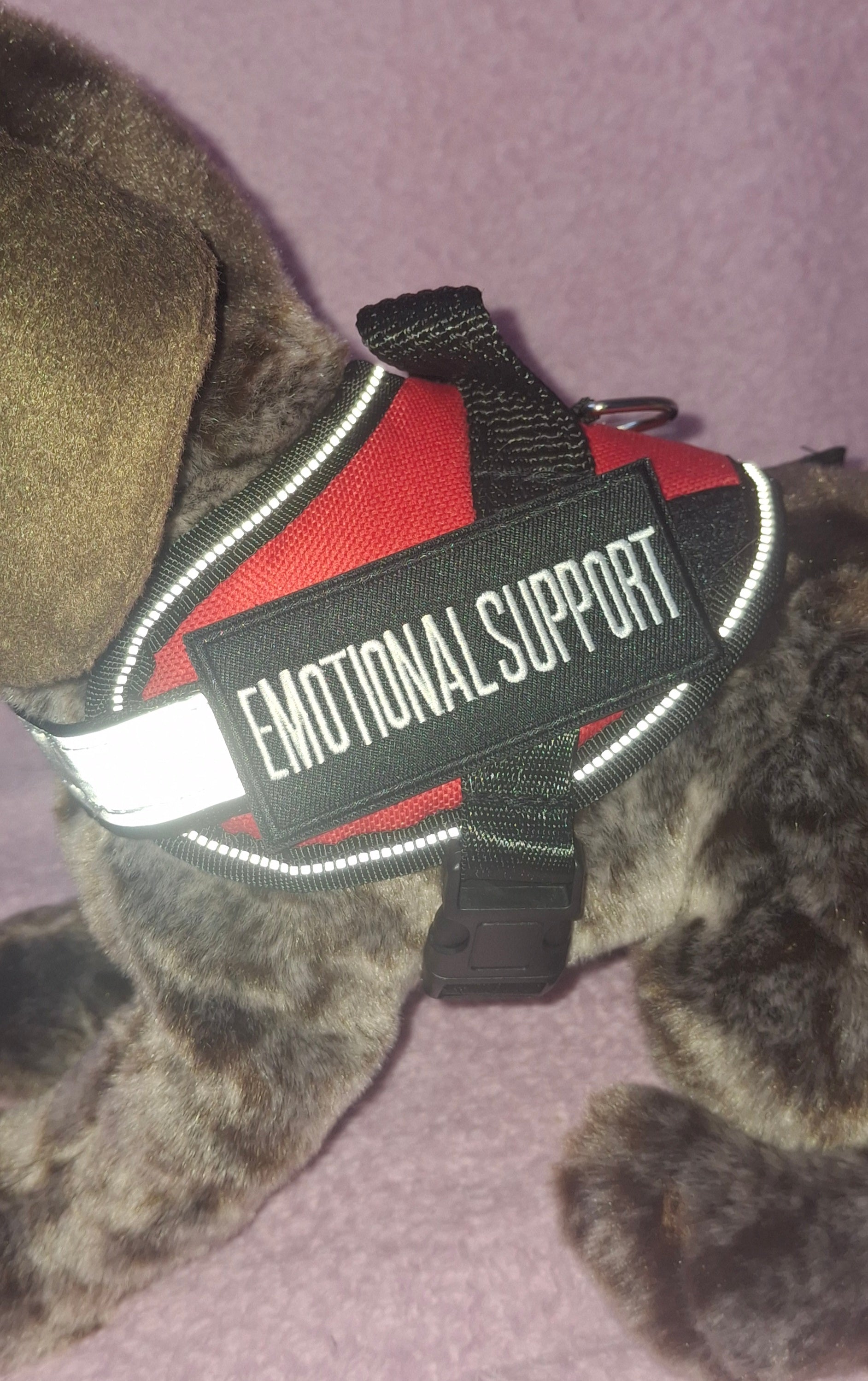 Emotional Support Vest