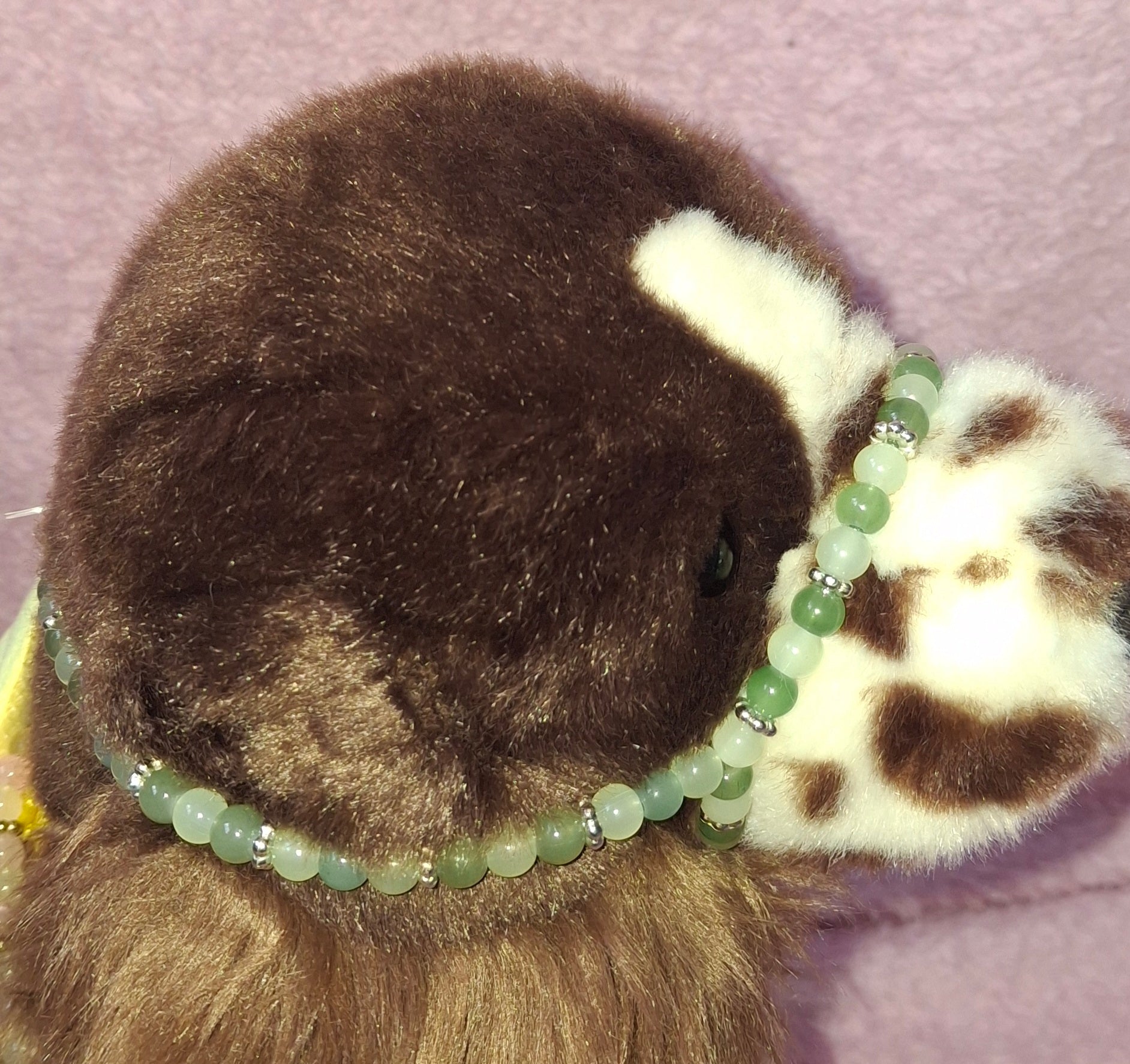 Moss' Muzzle