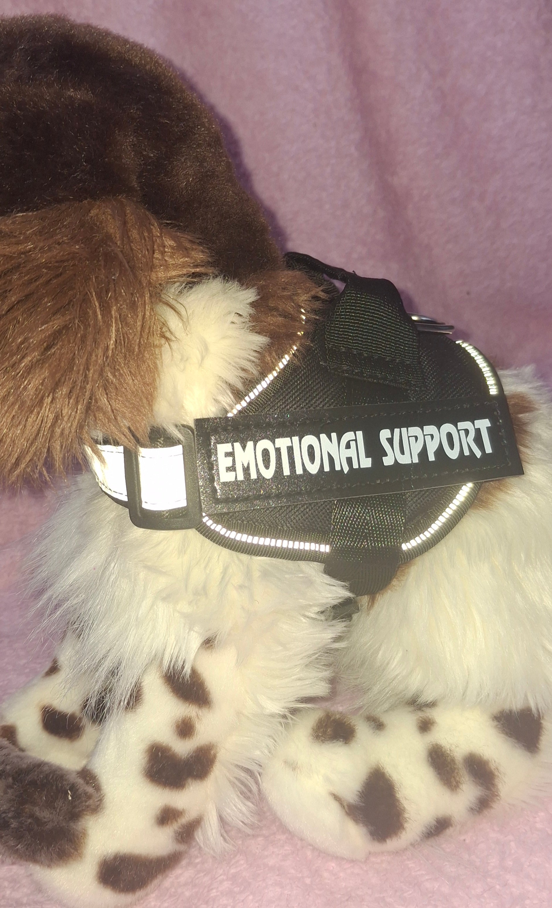 Emotional Support Vest
