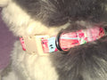 Fruit Dog Collars