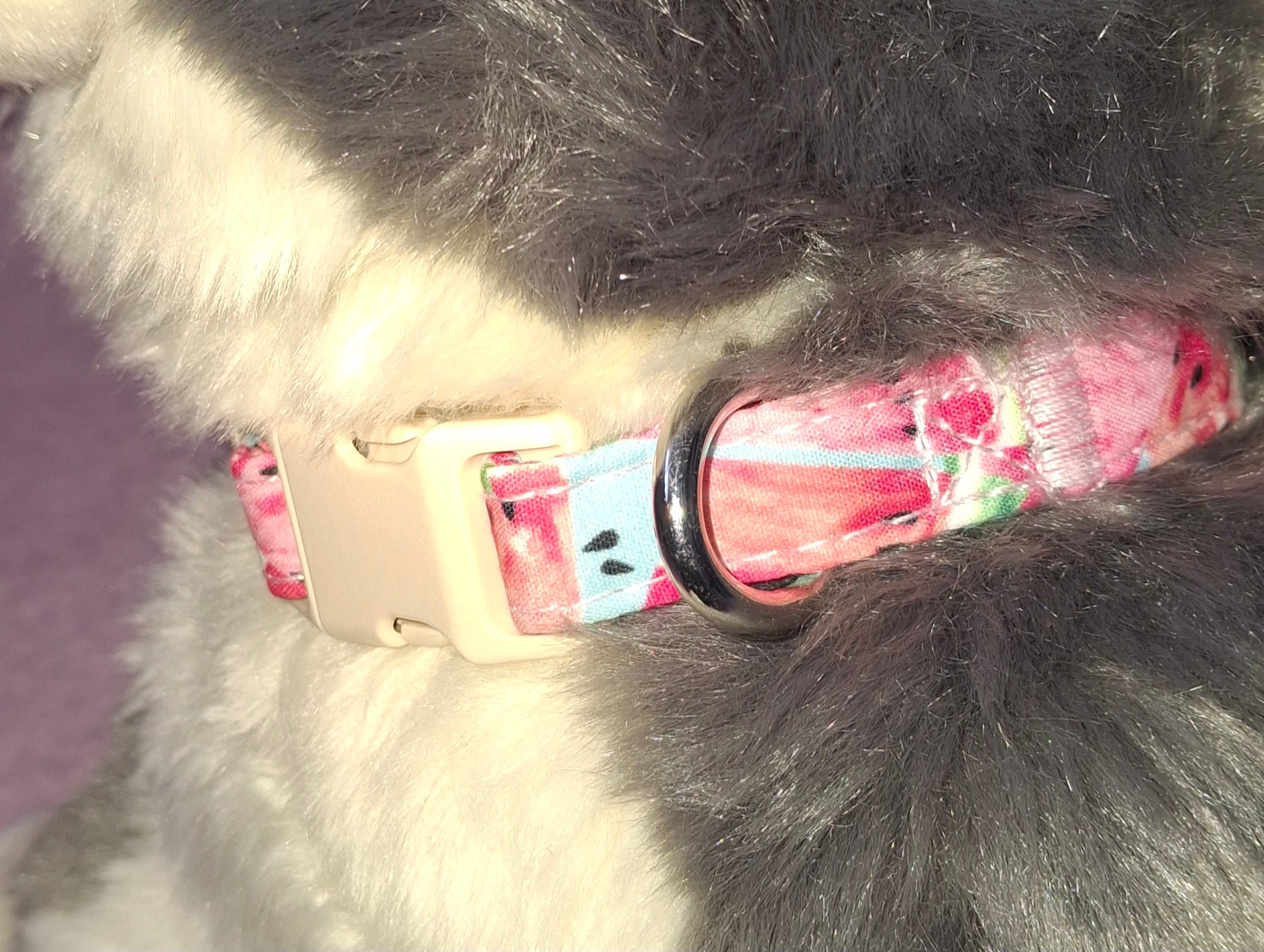 Fruit Dog Collars