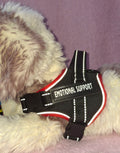 Emotional Support Vest Variant 2