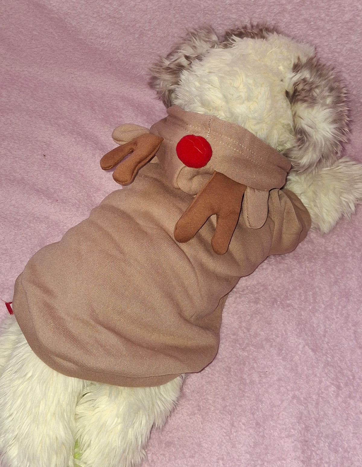Rudolph Costume