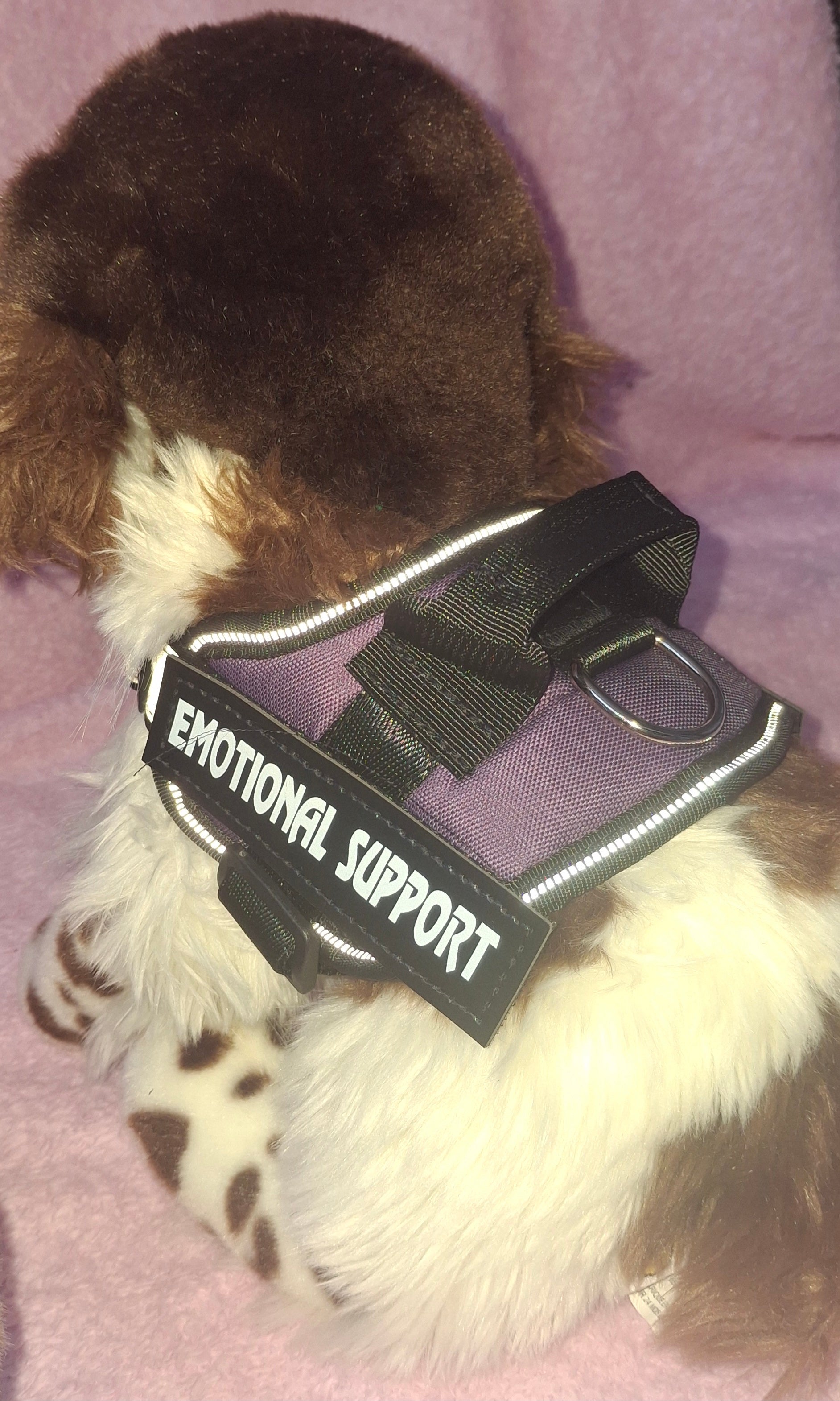 Emotional Support Vest