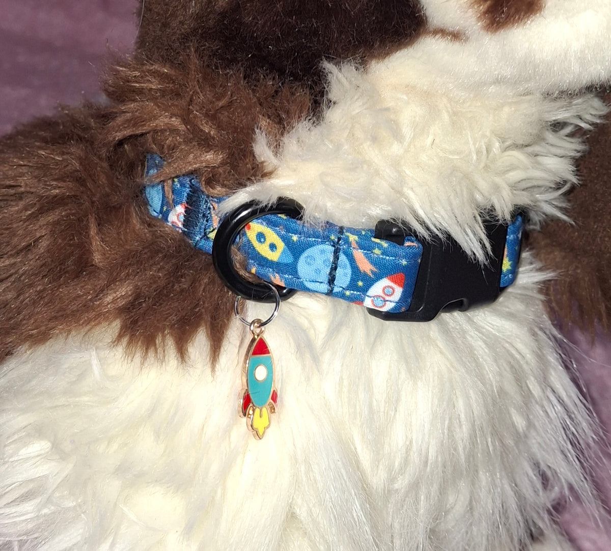 Dog Collar Variants