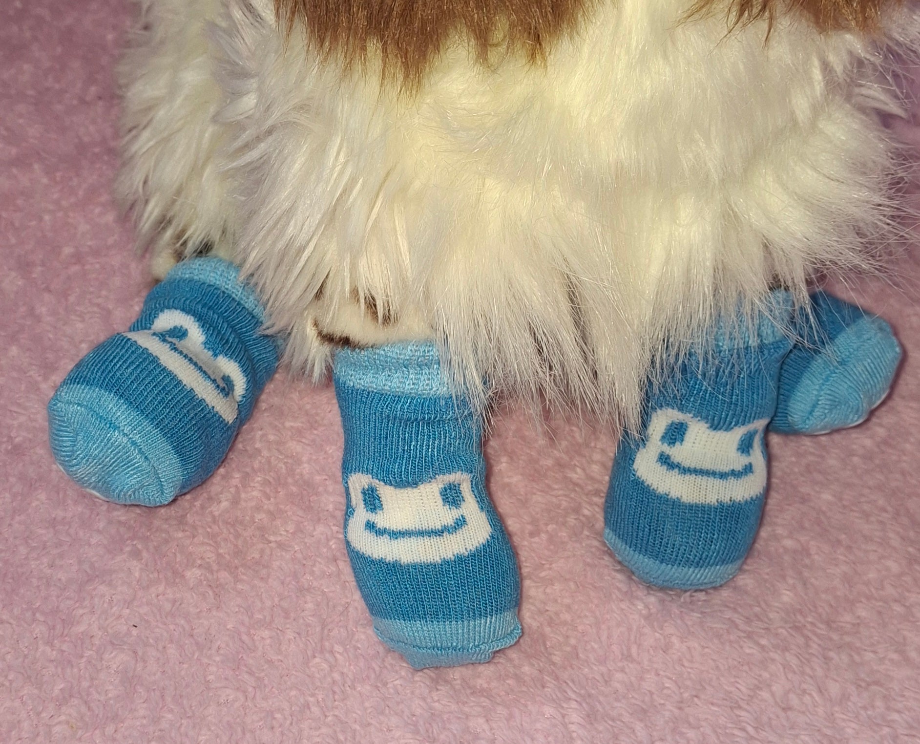Animal Socks