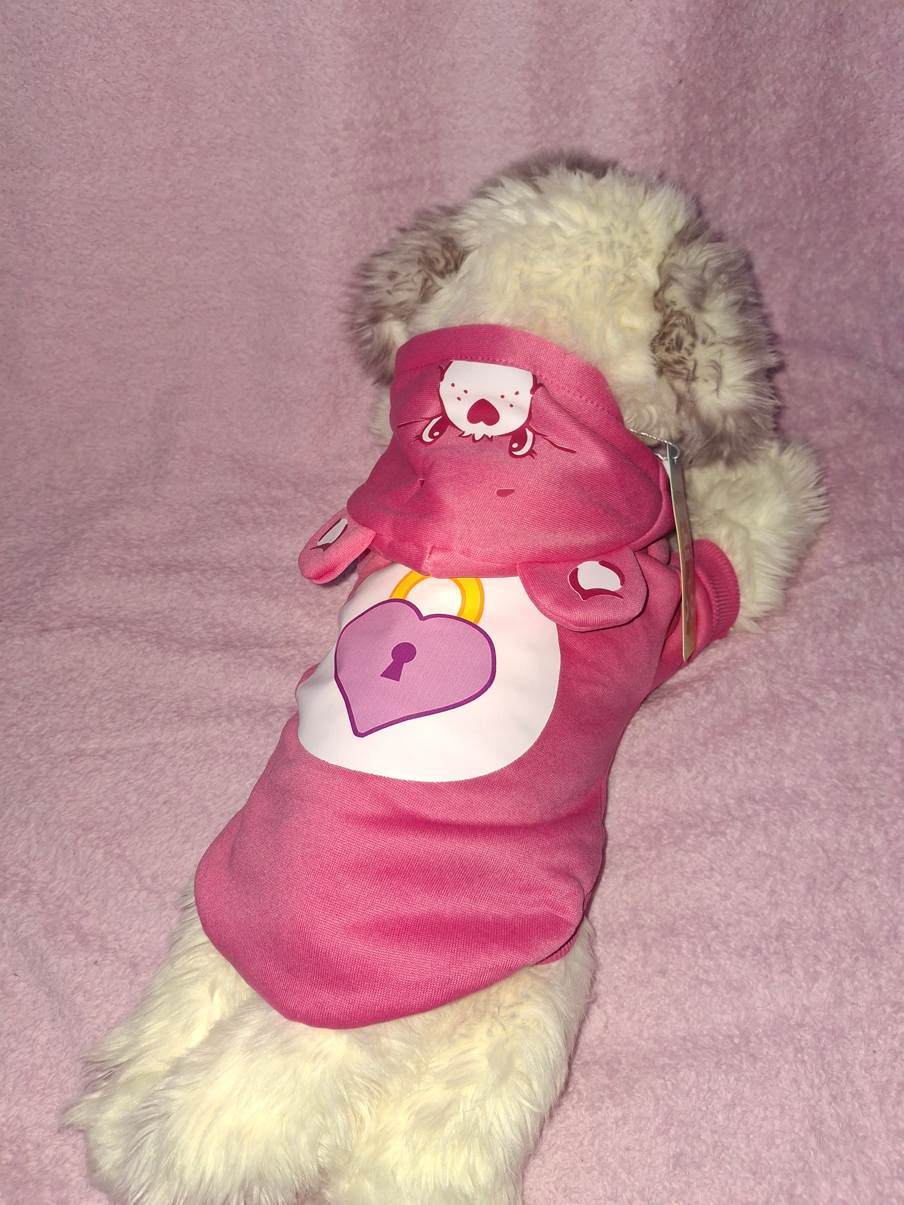 Care Bear Hoodies Variant 2