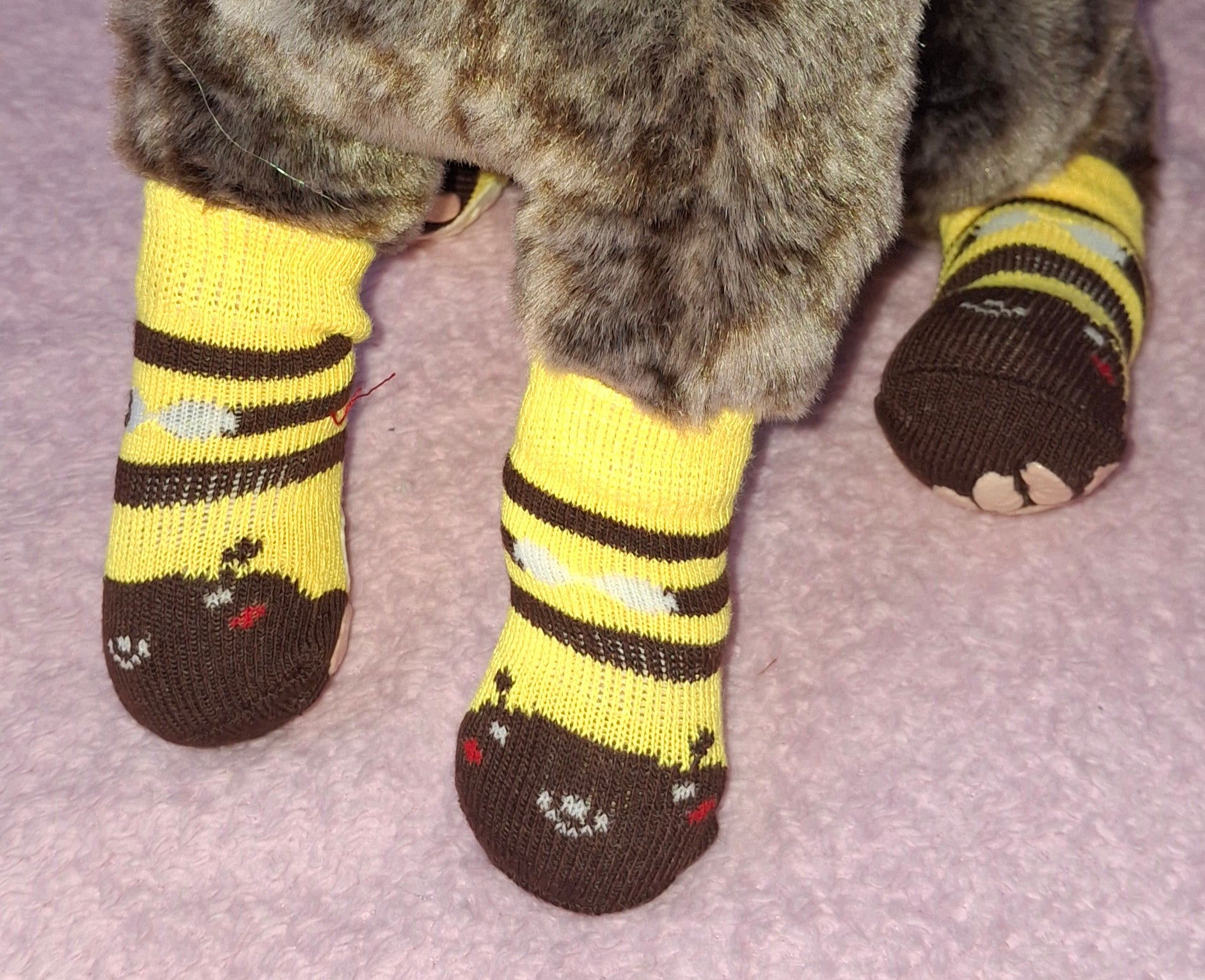 Animal Socks