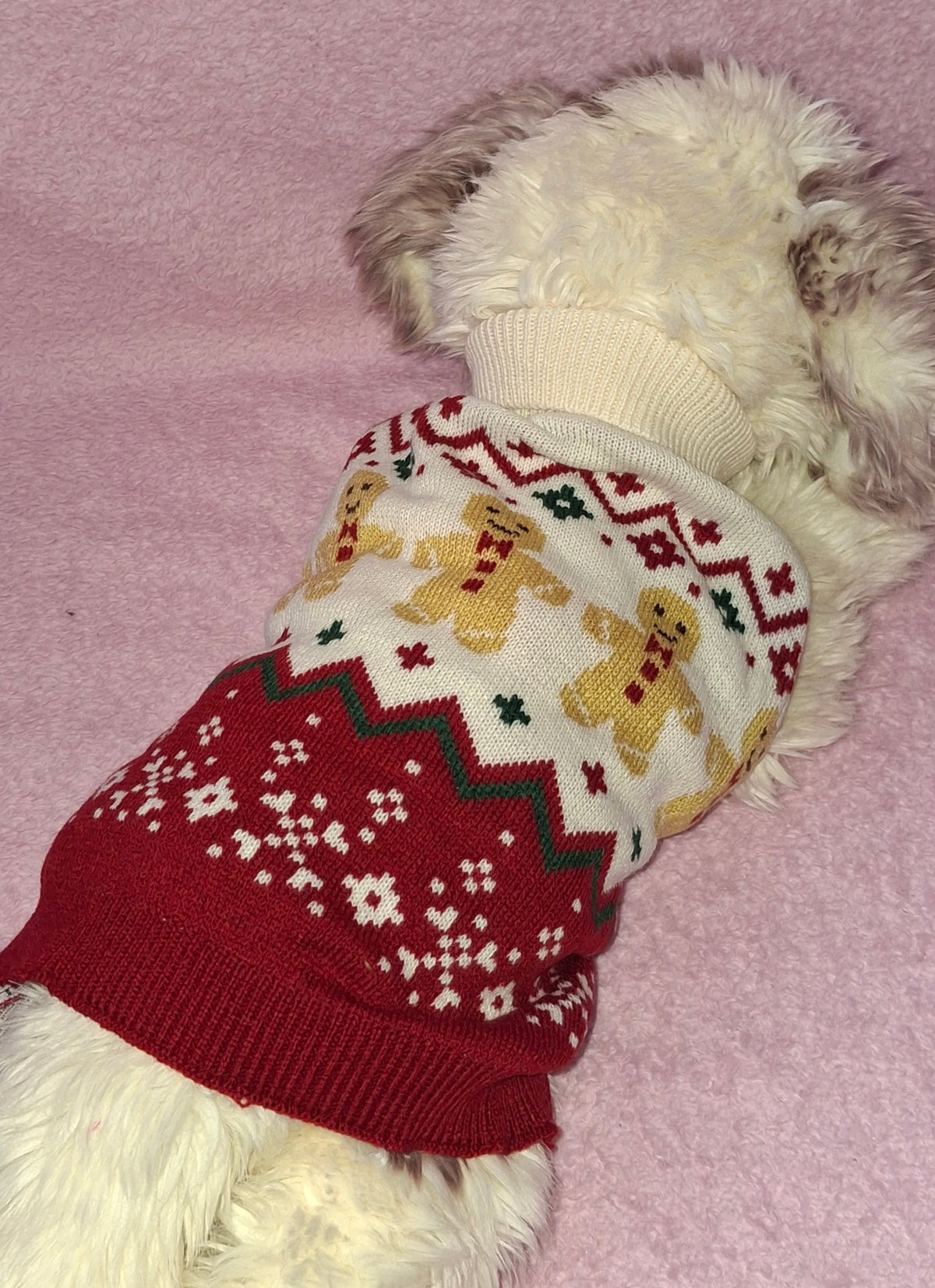 Knitted Gingerbread Jumper