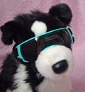 Goggles