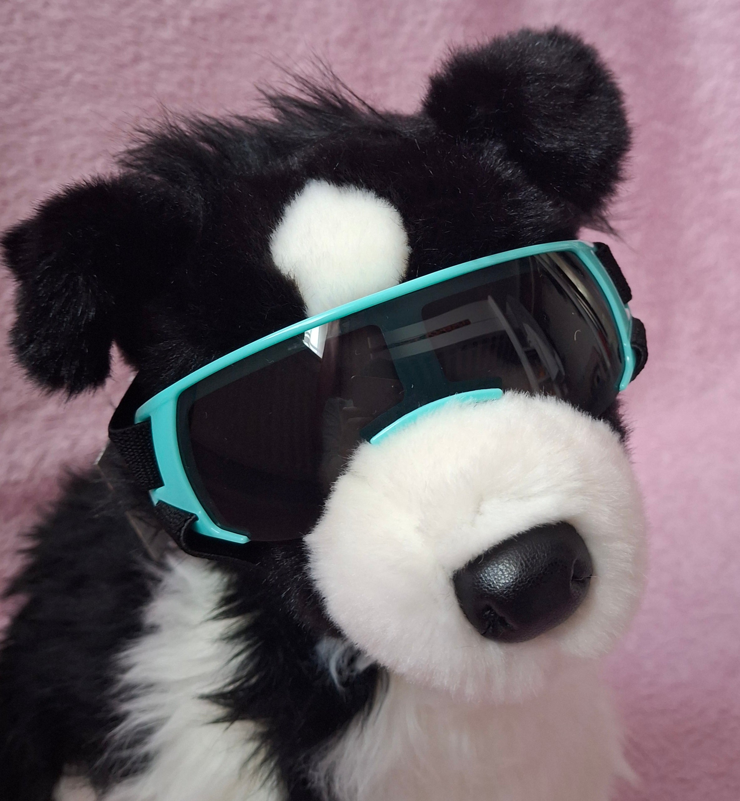 Goggles