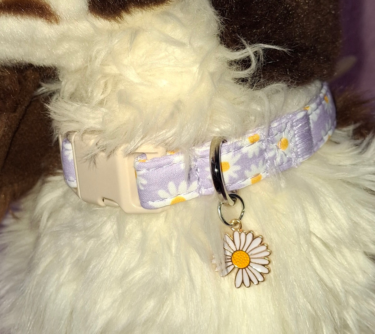 Dog Collar Variants