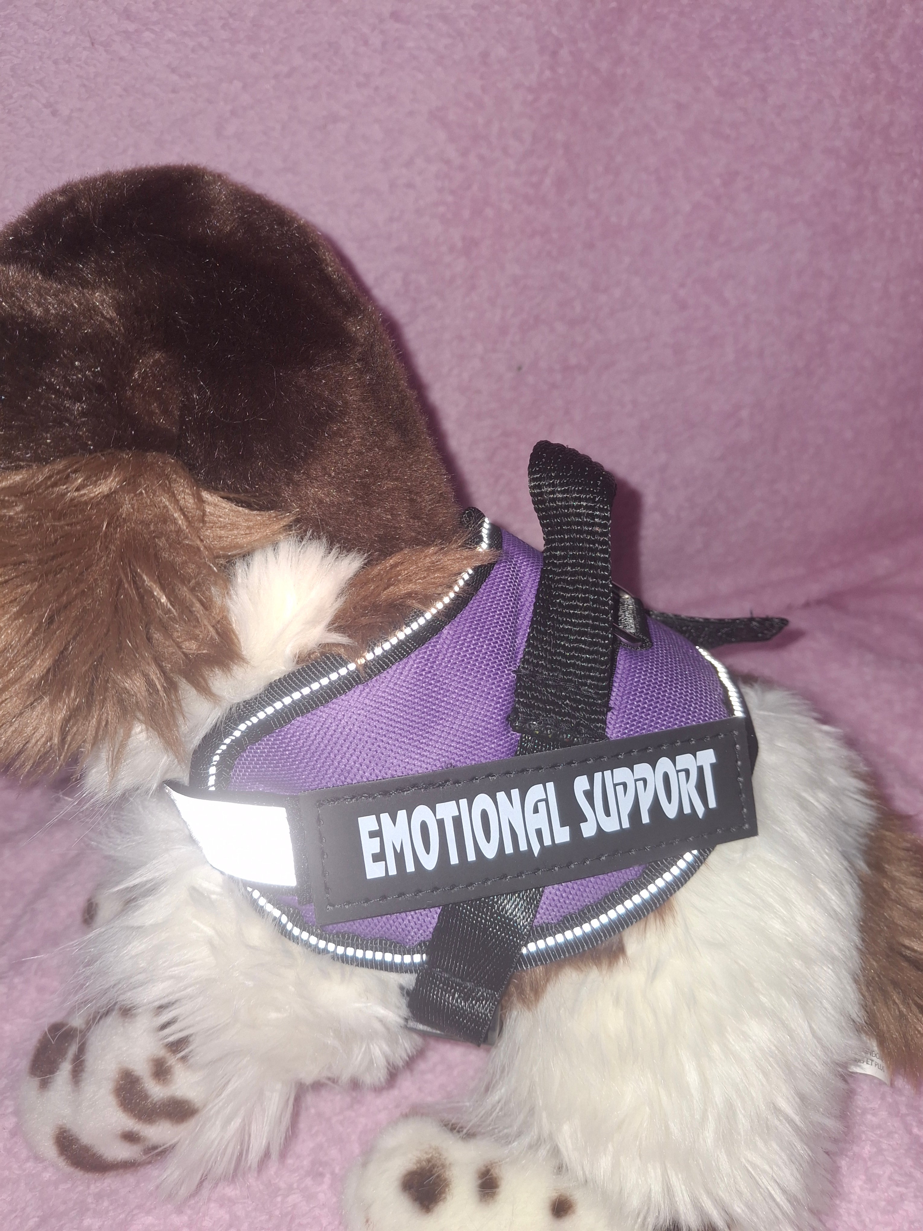 Emotional Support Vest