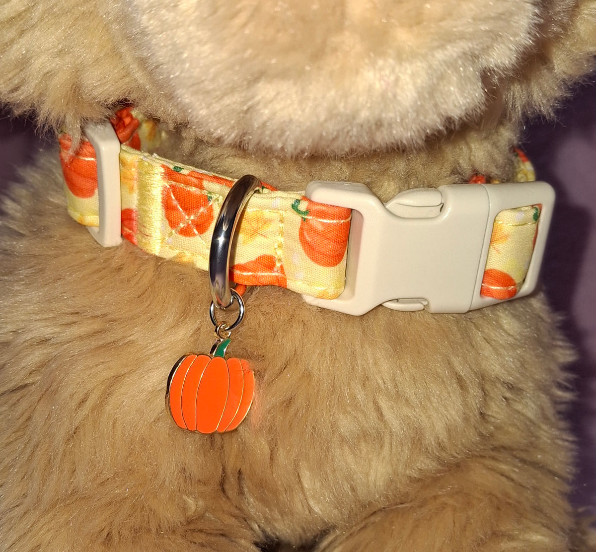 Dog Collar Variants