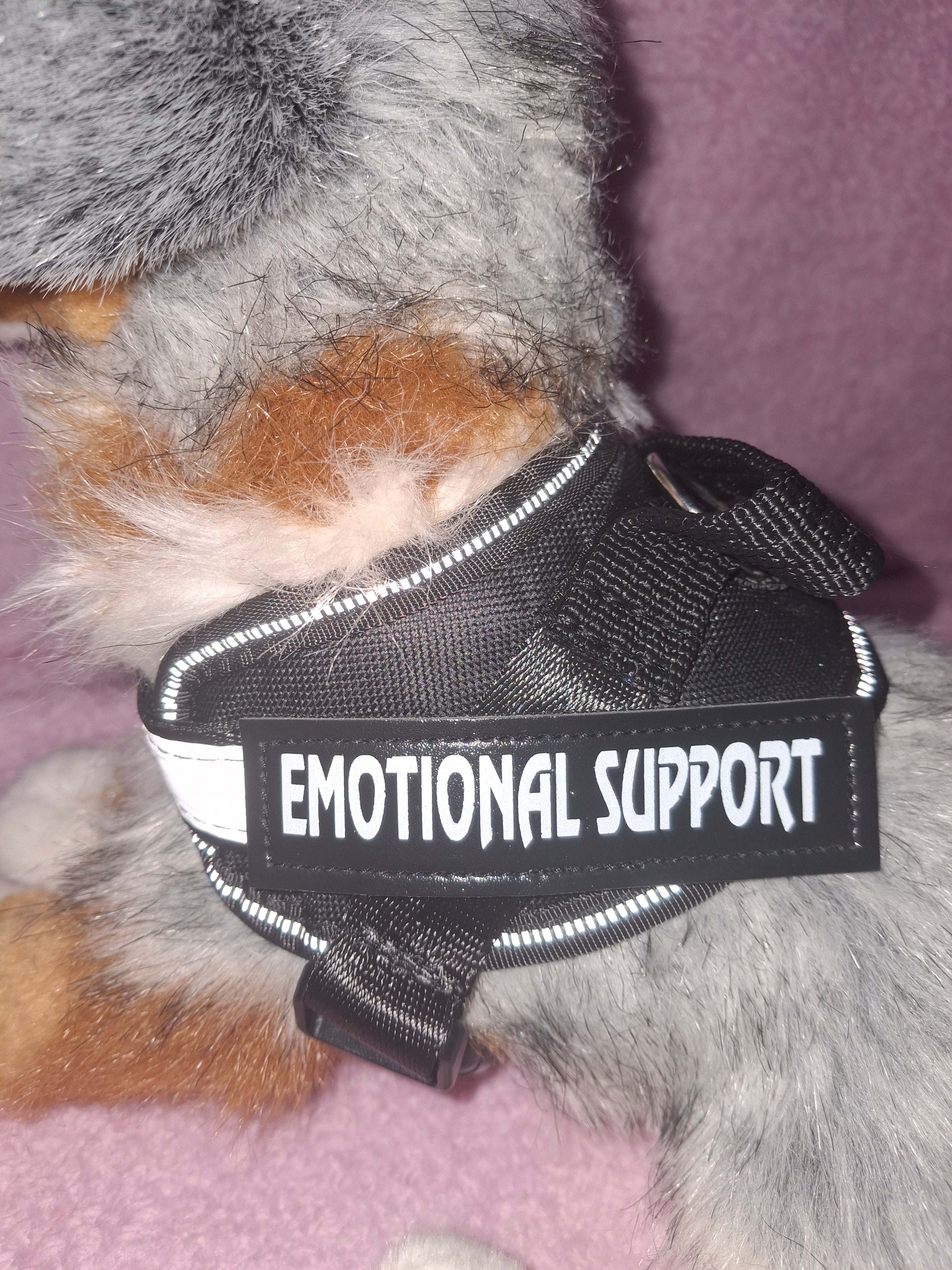 Emotional Support Vest