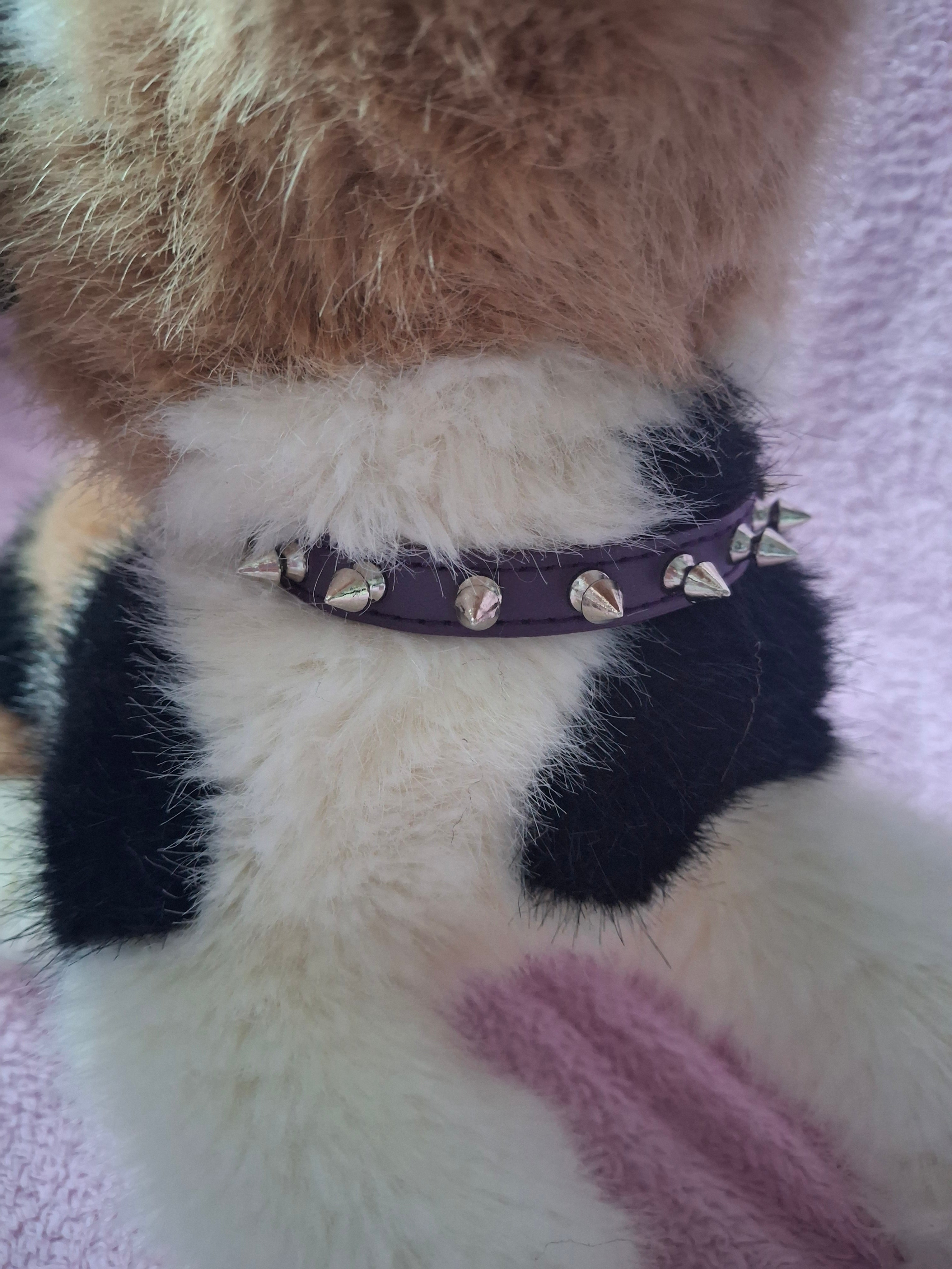 Spiked Collar