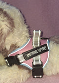 Emotional Support Vest Variant 2