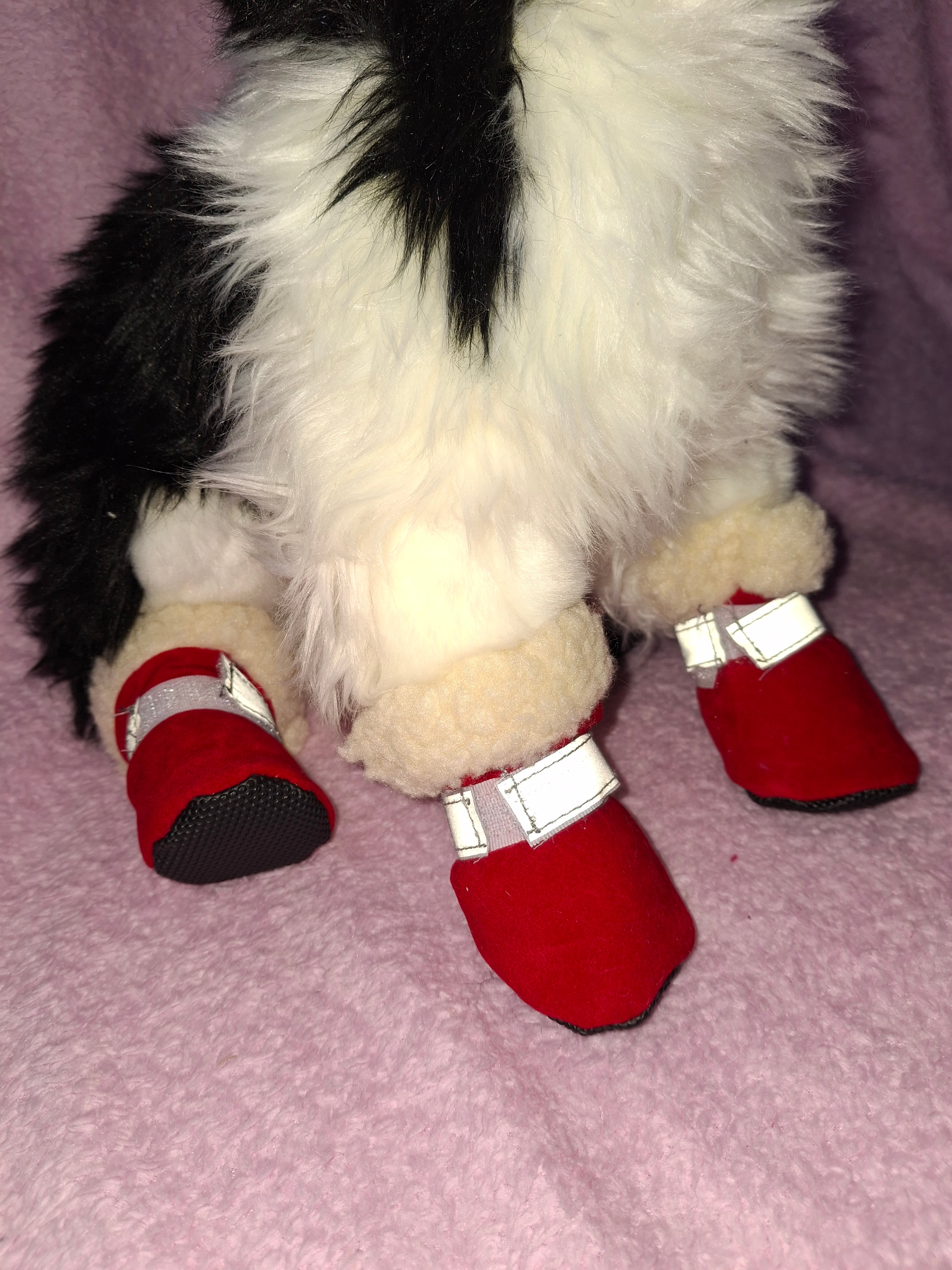 Winter Boots