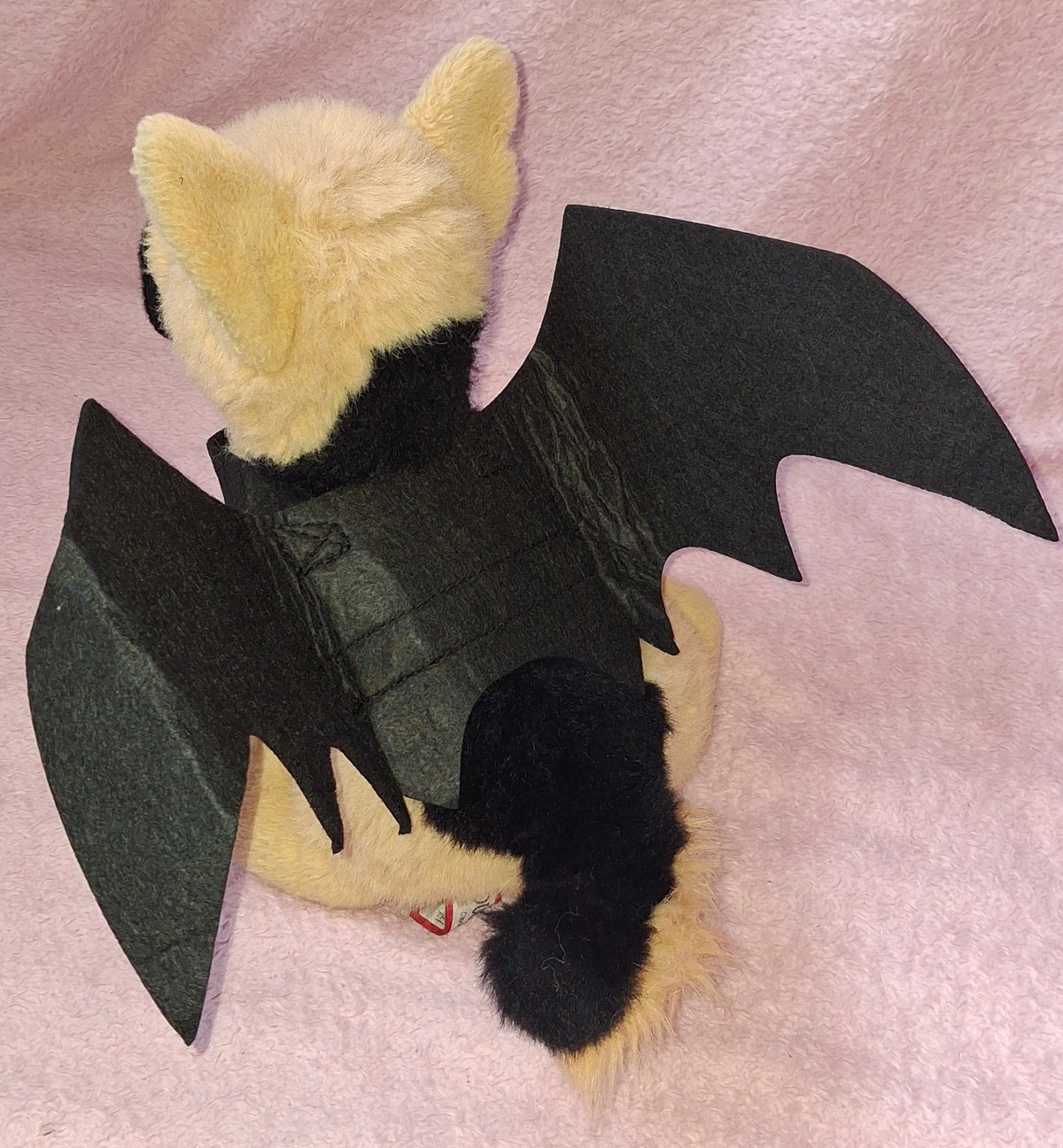 Bat Wings