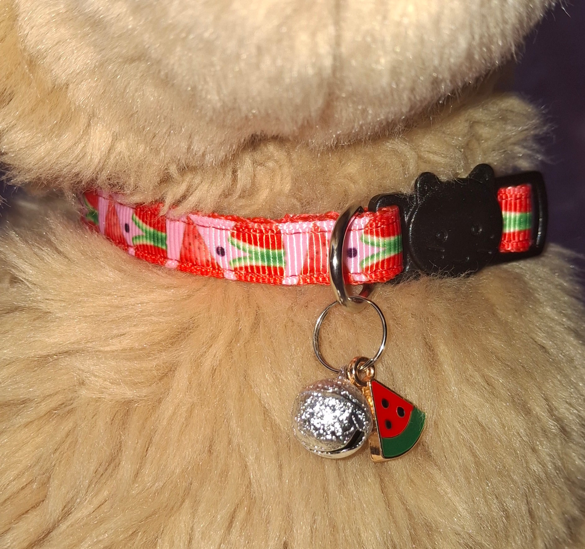 Fruit Cat Collars