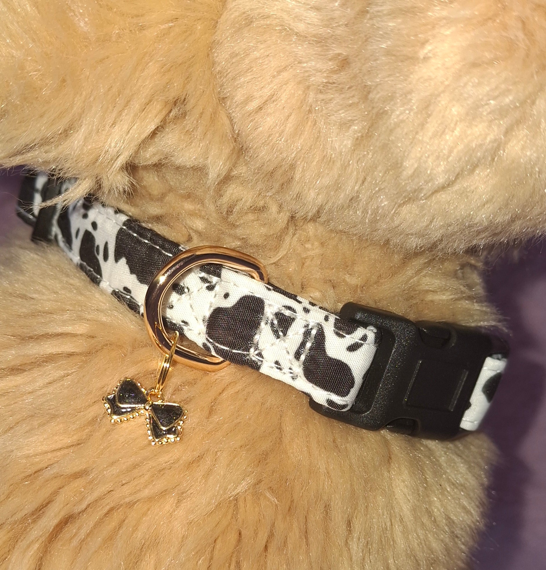 Dog Collar Variants